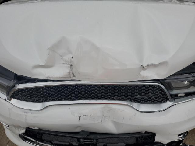 Photo 11 VIN: 1C4SDHET3MC825159 - DODGE DURANGO CI 