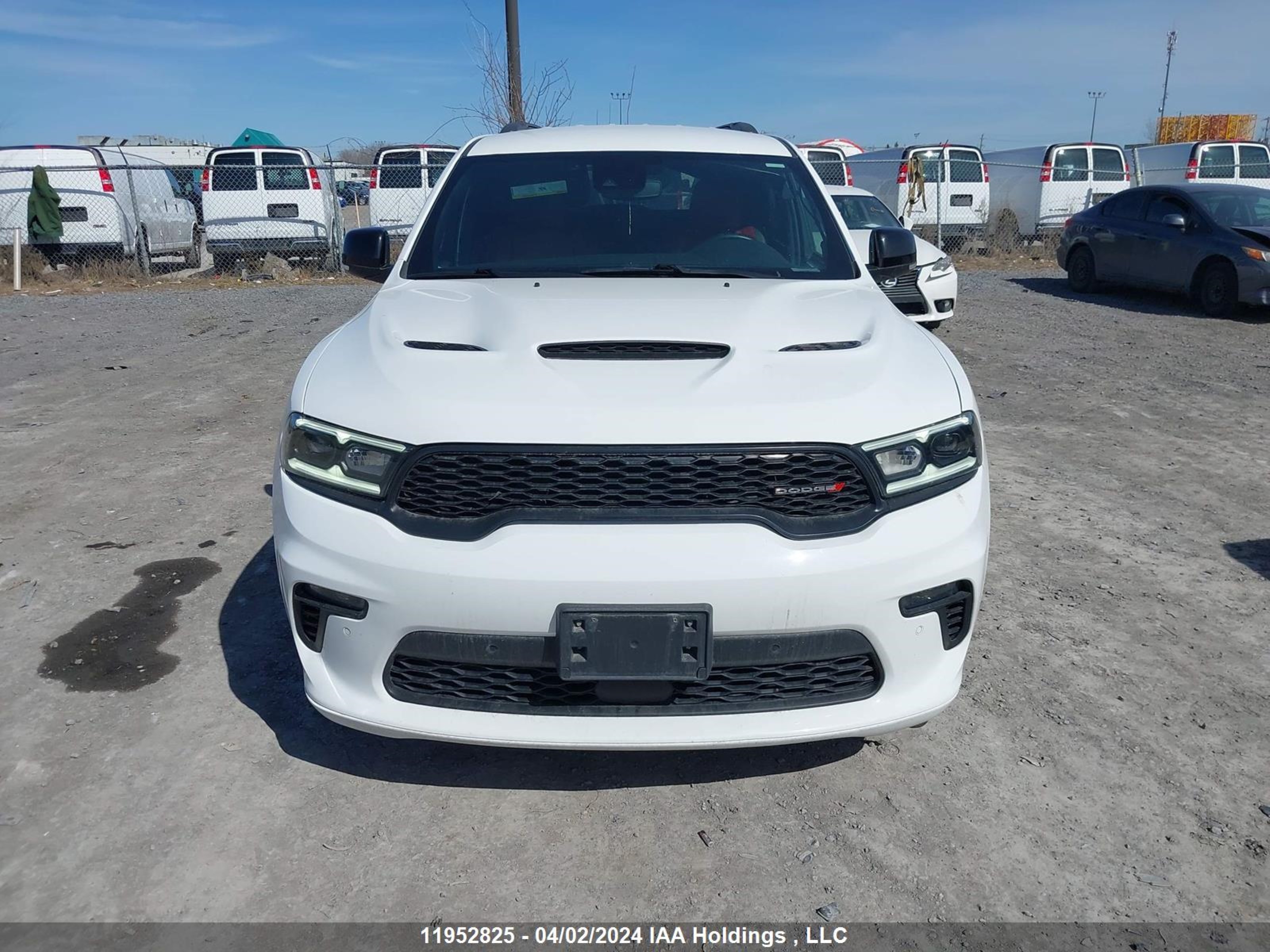 Photo 11 VIN: 1C4SDJCT6MC864967 - DODGE DURANGO 