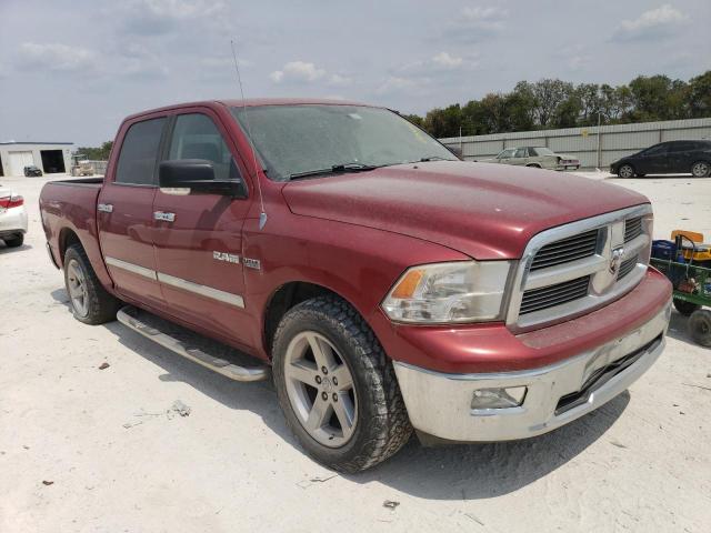 Photo 3 VIN: 1D3HB13T89S769699 - DODGE RAM 1500 