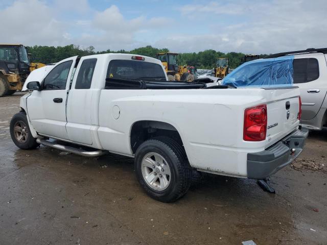 Photo 1 VIN: 1D3HE32N58S590282 - DODGE DAKOTA 