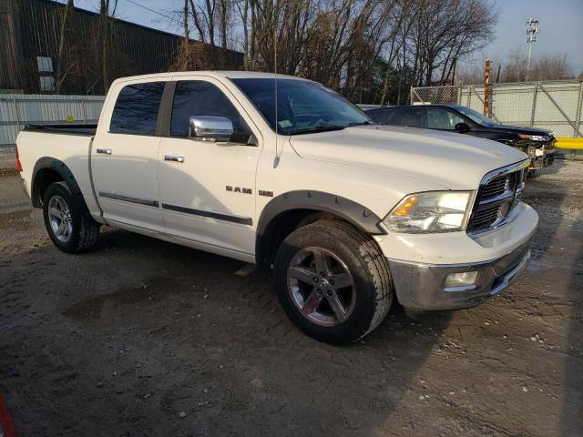 Photo 3 VIN: 1D3HV13T09S770840 - DODGE RAM 1500 