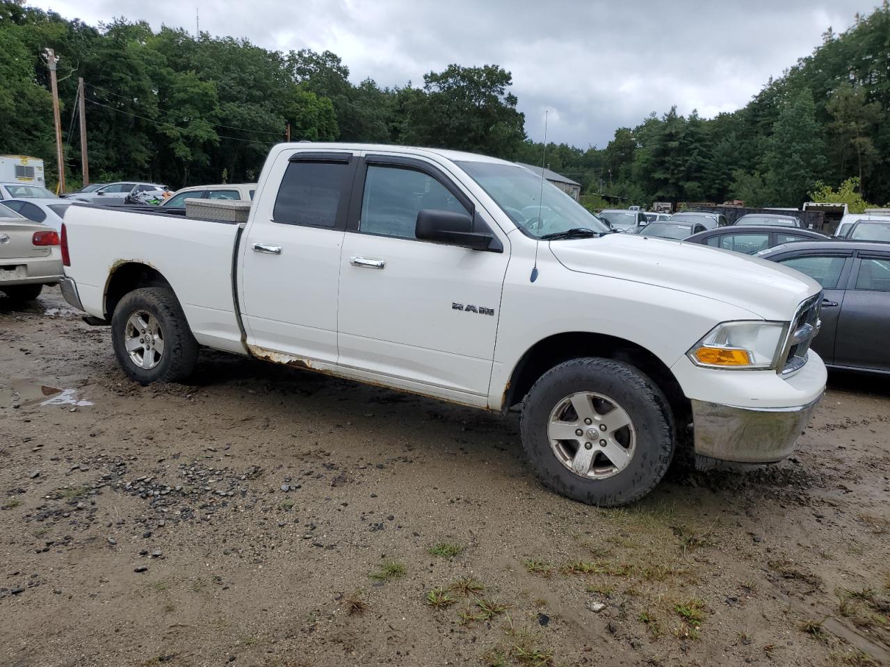 Photo 3 VIN: 1D3HV18P09S815951 - DODGE RAM 