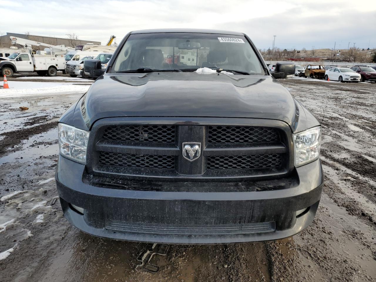 Photo 4 VIN: 1D3HV18T69S824019 - DODGE RAM 