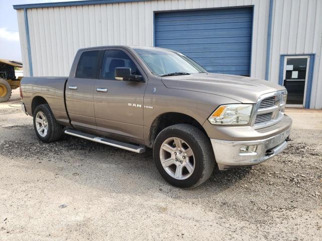 Photo 3 VIN: 1D3HV18T89S813359 - DODGE RAM 1500 