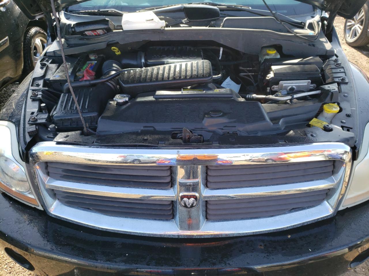 Photo 10 VIN: 1D4HB48NX4F145184 - DODGE DURANGO 