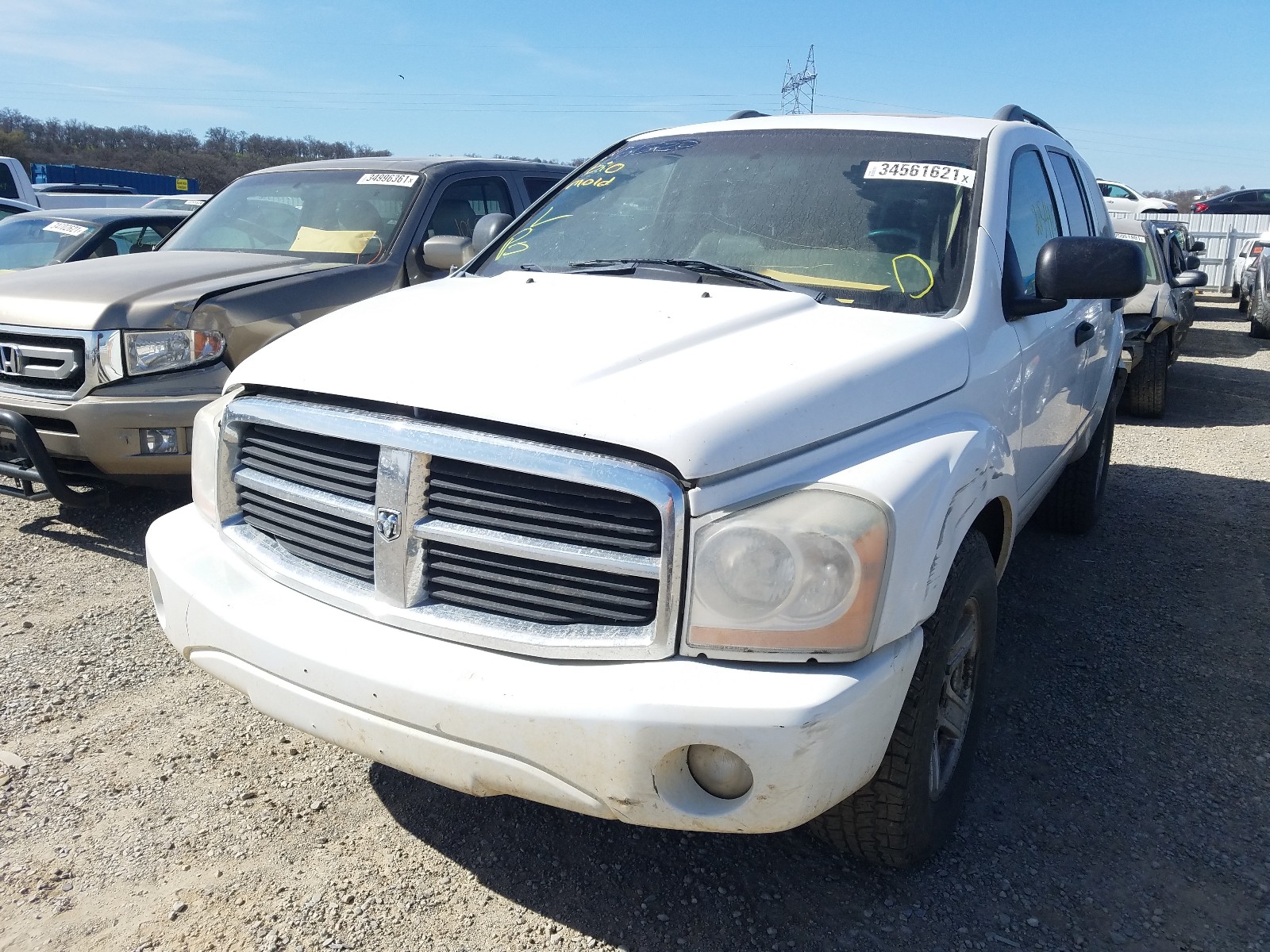 Photo 1 VIN: 1D4HB58D64F142313 - DODGE DURANGO LI 