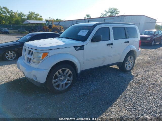 Photo 1 VIN: 1D4PU4GK7BW529644 - DODGE NITRO 