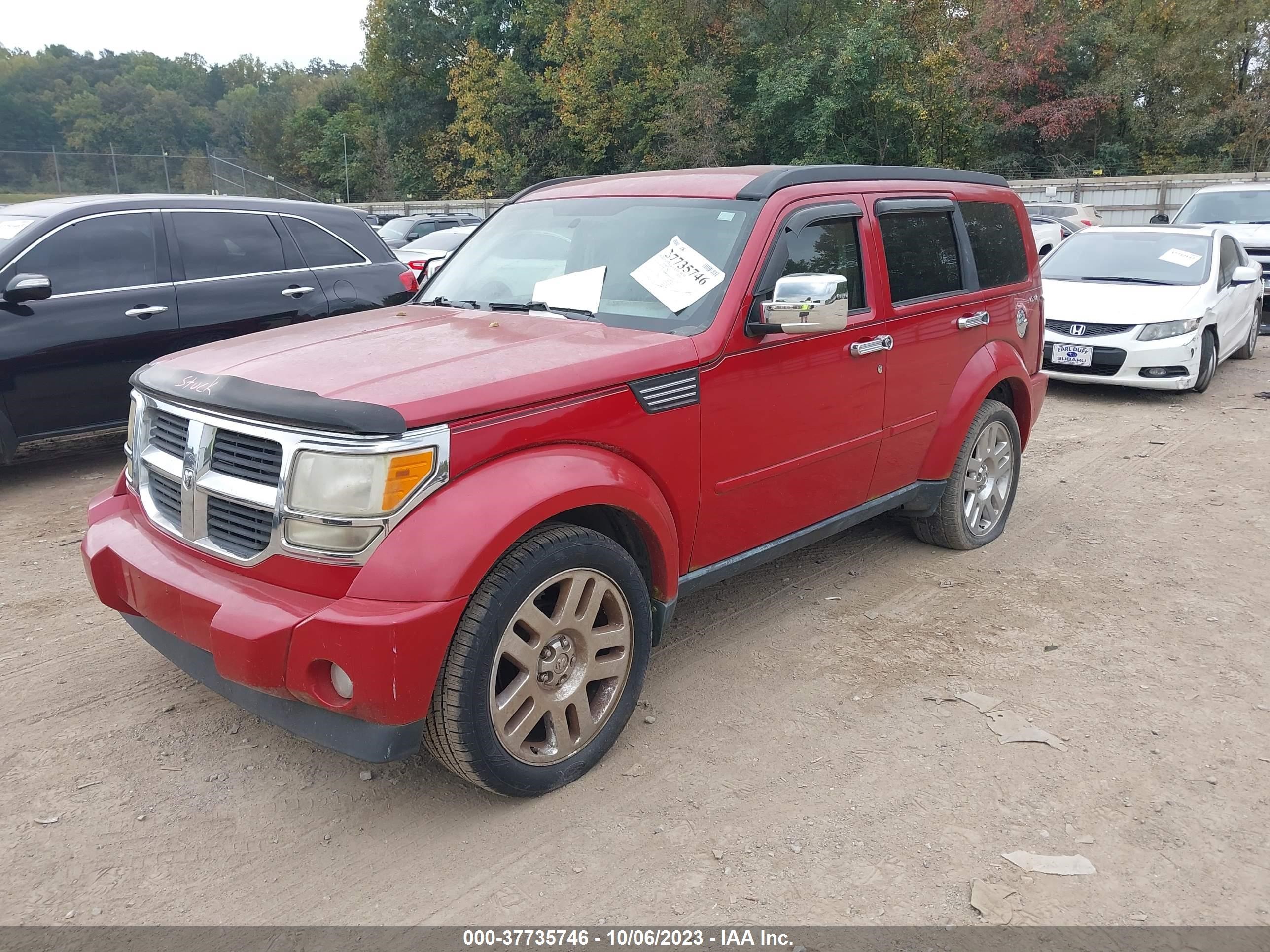 Photo 11 VIN: 1D4PU4GK8BW607624 - DODGE NITRO 