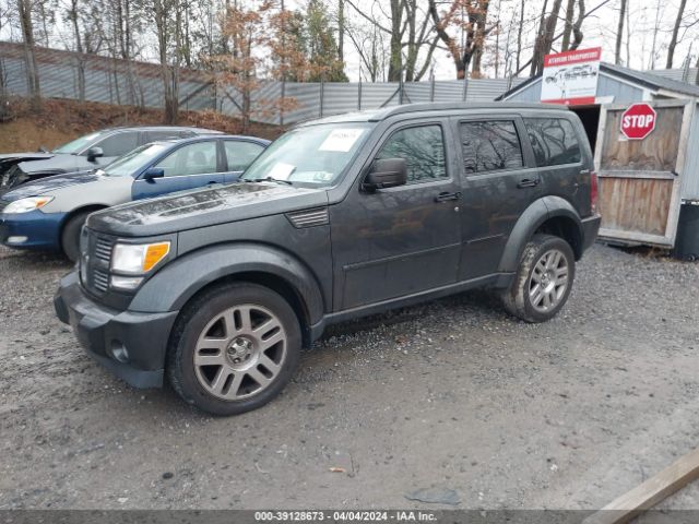 Photo 1 VIN: 1D4PU4GX7BW505985 - DODGE NITRO 