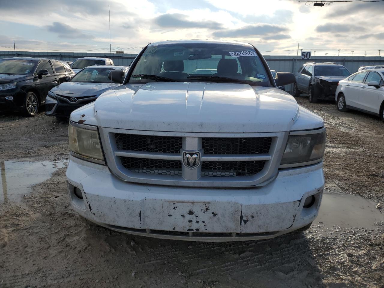 Photo 4 VIN: 1D7CE3BK3AS244543 - DODGE DAKOTA 