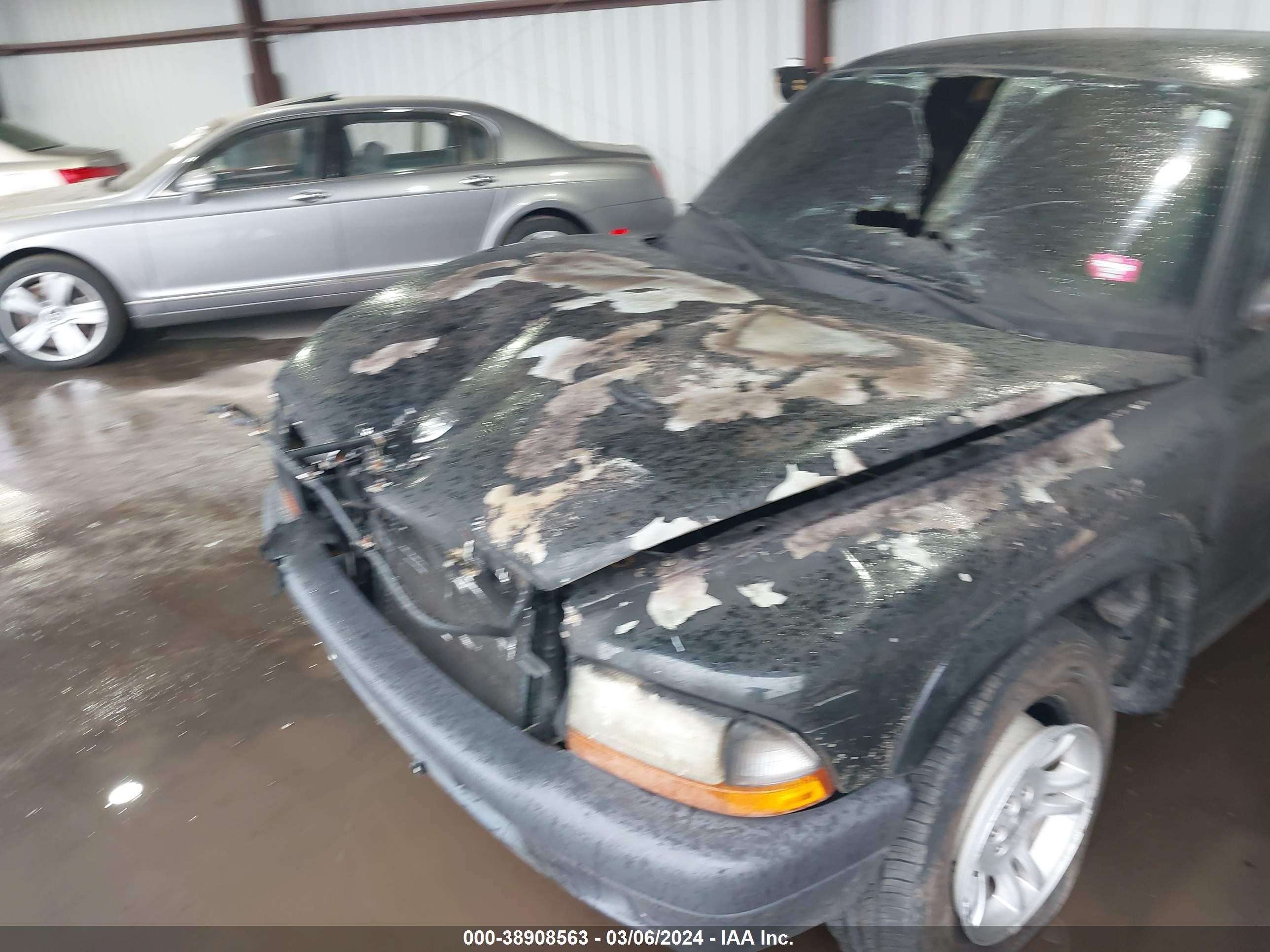 Photo 5 VIN: 1D7FL16X43S159663 - DODGE DAKOTA 