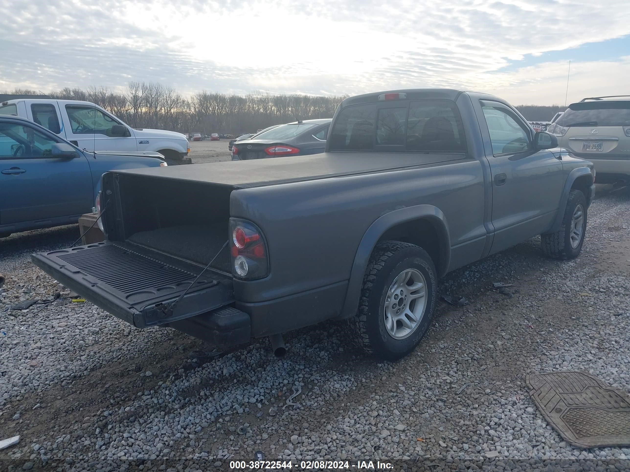 Photo 3 VIN: 1D7FL46K04S579895 - DODGE DAKOTA 