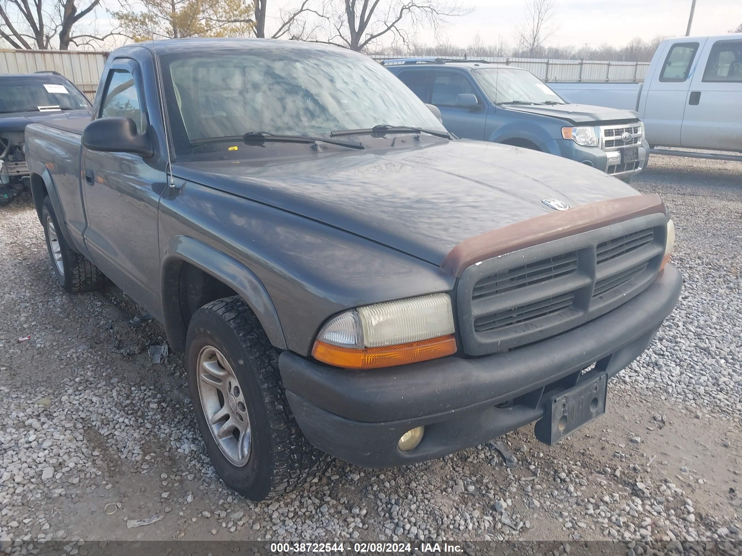 Photo 5 VIN: 1D7FL46K04S579895 - DODGE DAKOTA 