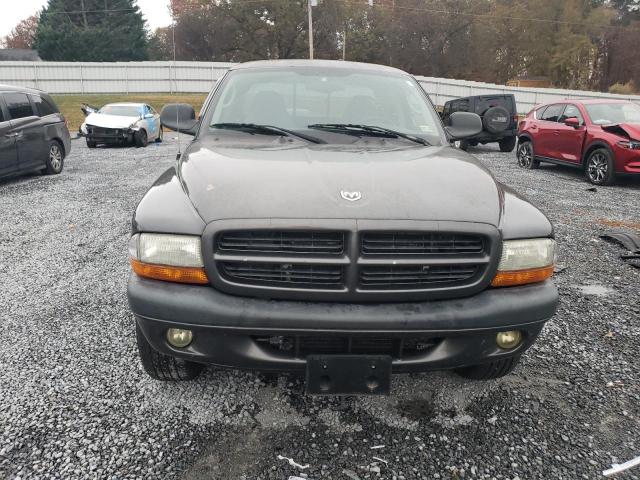 Photo 4 VIN: 1D7GG32N33S333957 - DODGE DAKOTA 