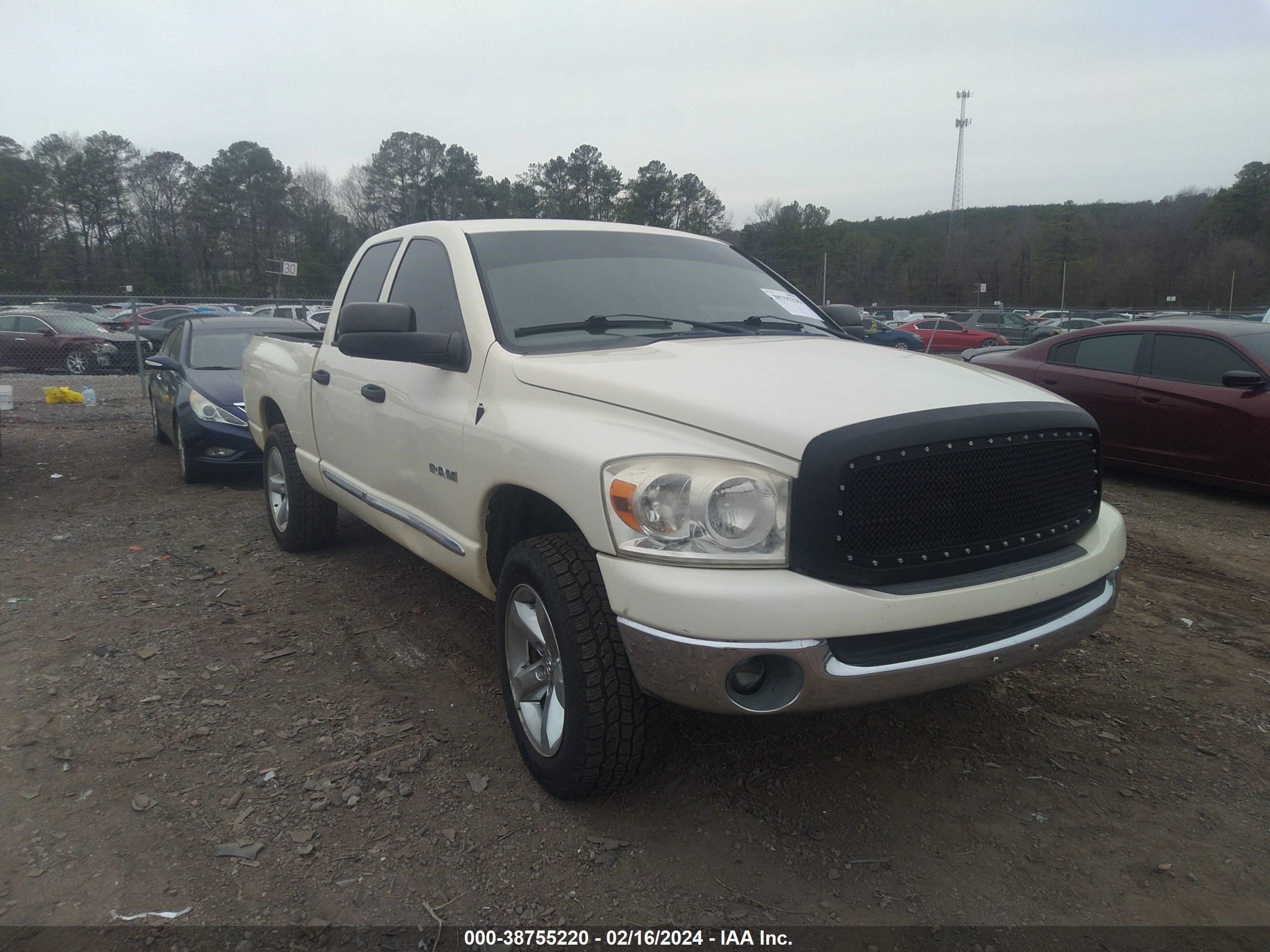 Photo 10 VIN: 1D7HA18N18J209796 - DODGE RAM 