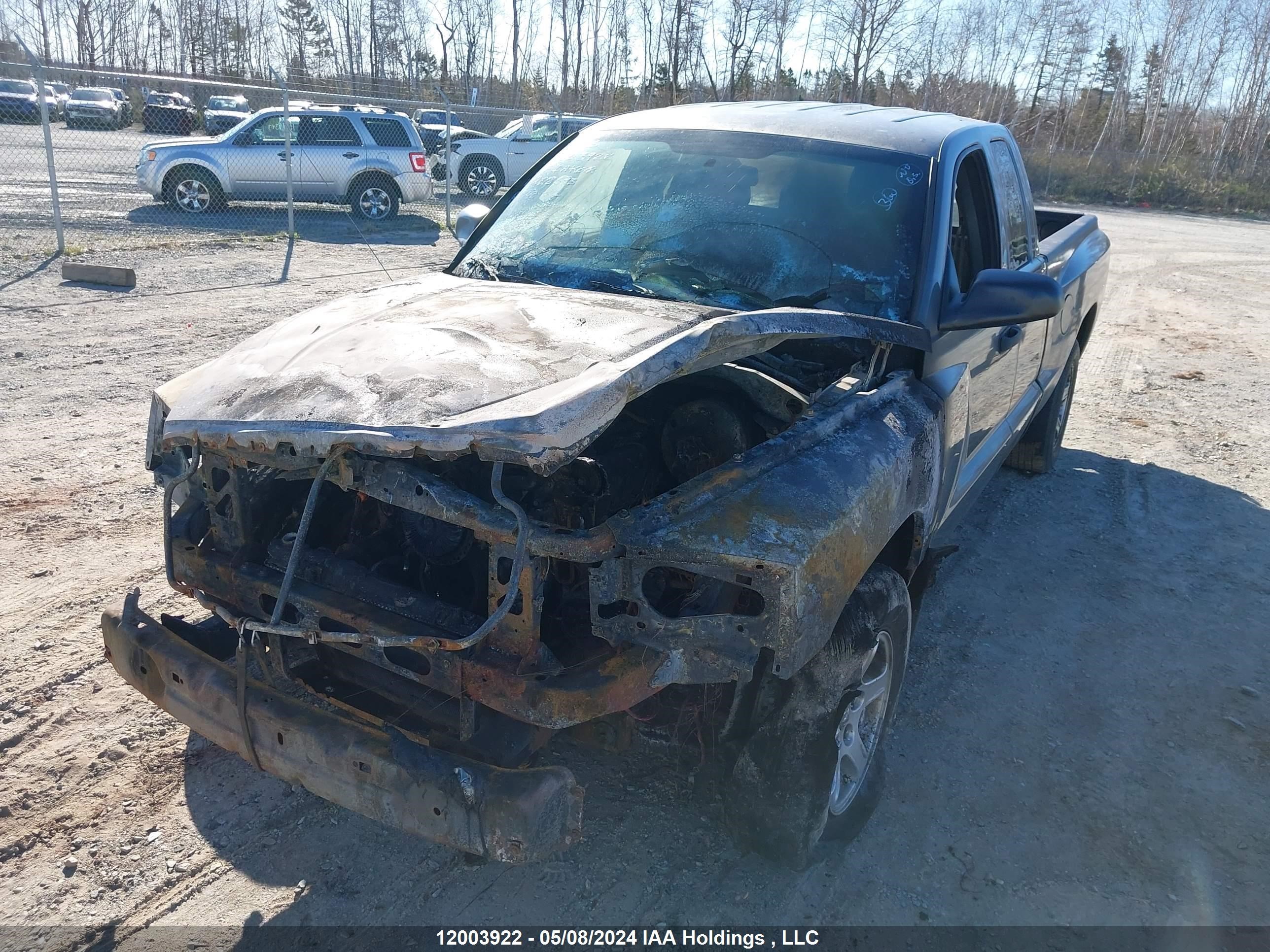 Photo 5 VIN: 1D7HE22K27S208593 - DODGE DAKOTA 