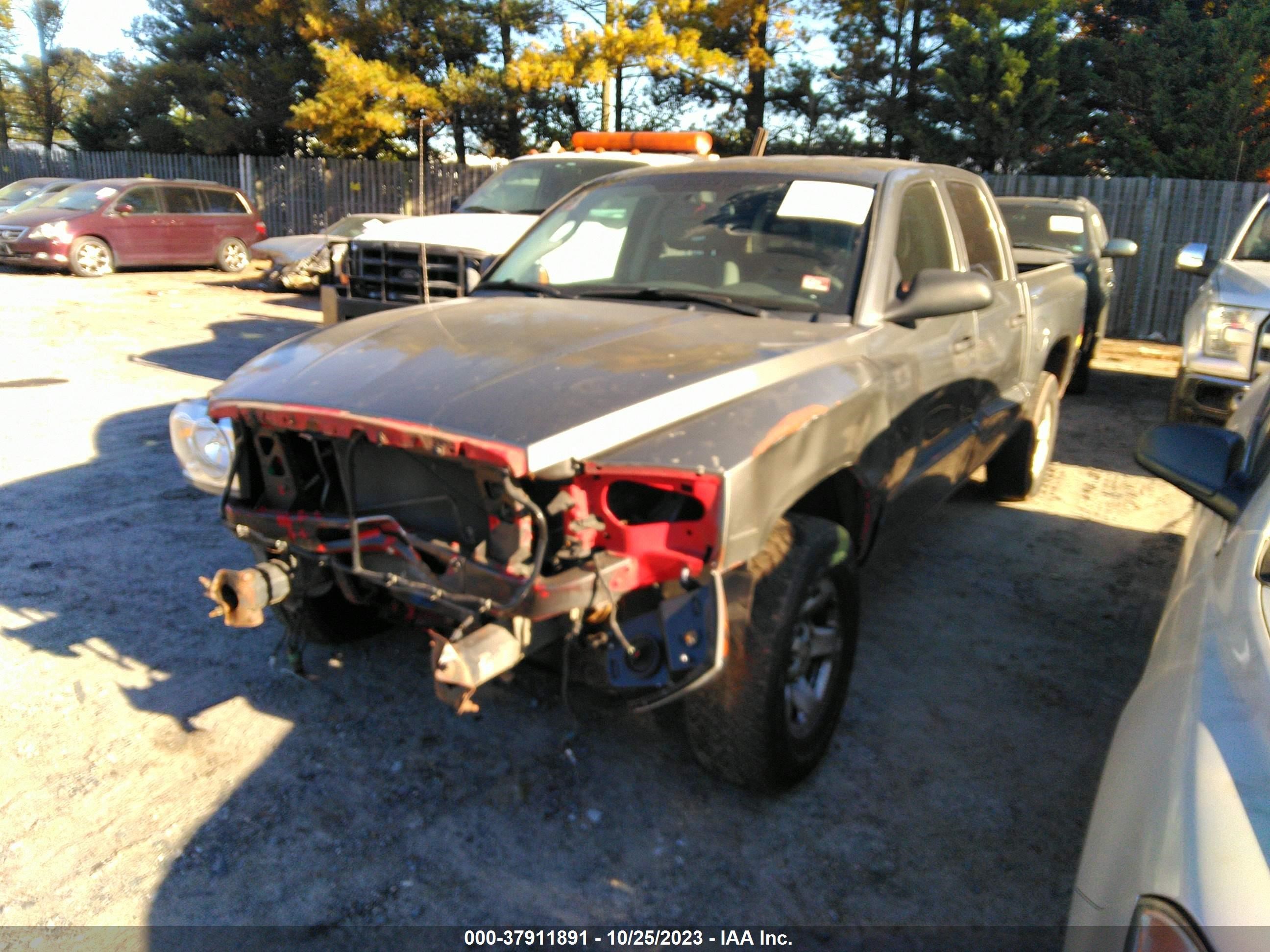 Photo 1 VIN: 1D7HE28K55S193429 - DODGE DAKOTA 