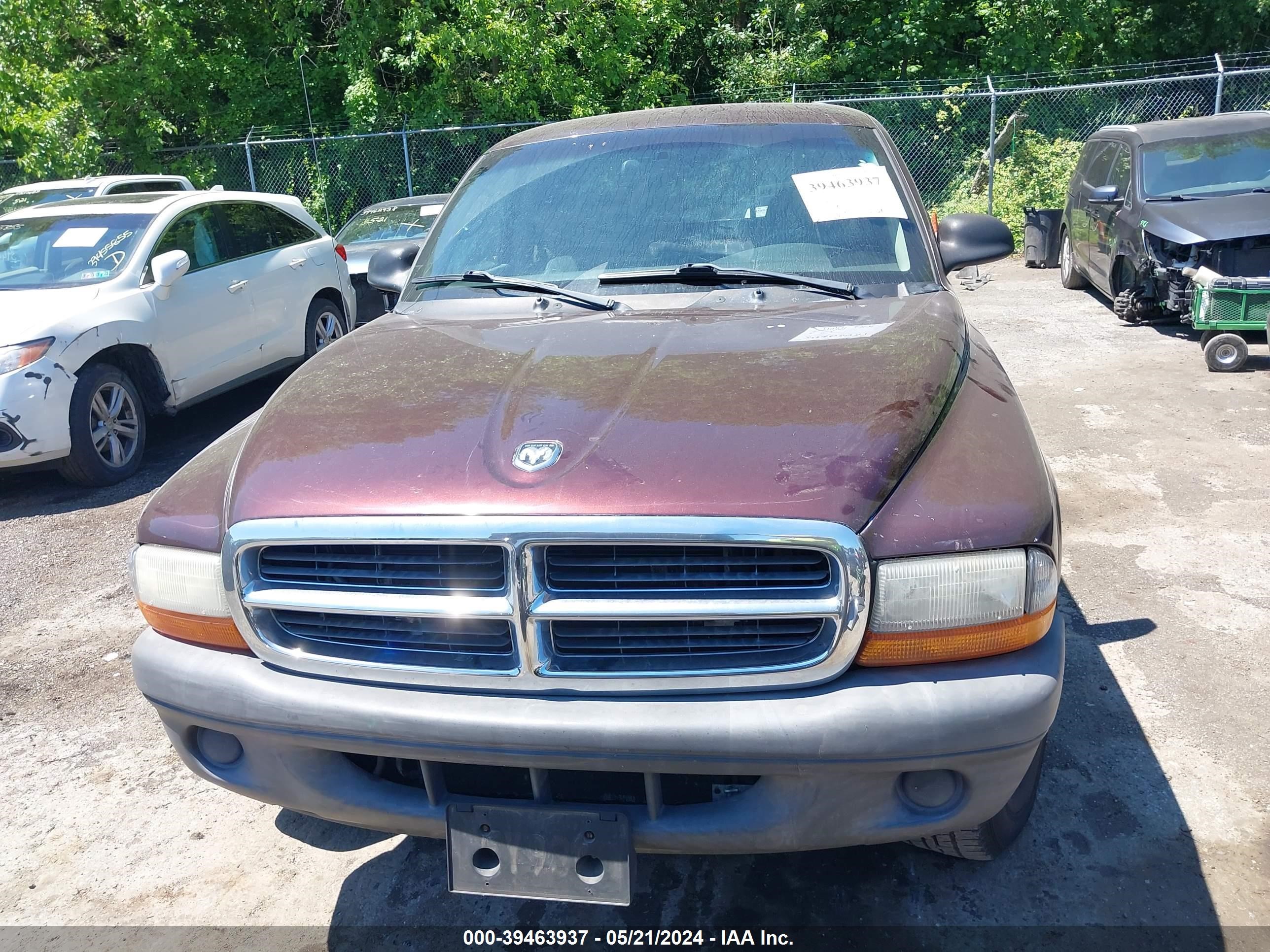 Photo 11 VIN: 1D7HG12K44S704284 - DODGE DAKOTA 