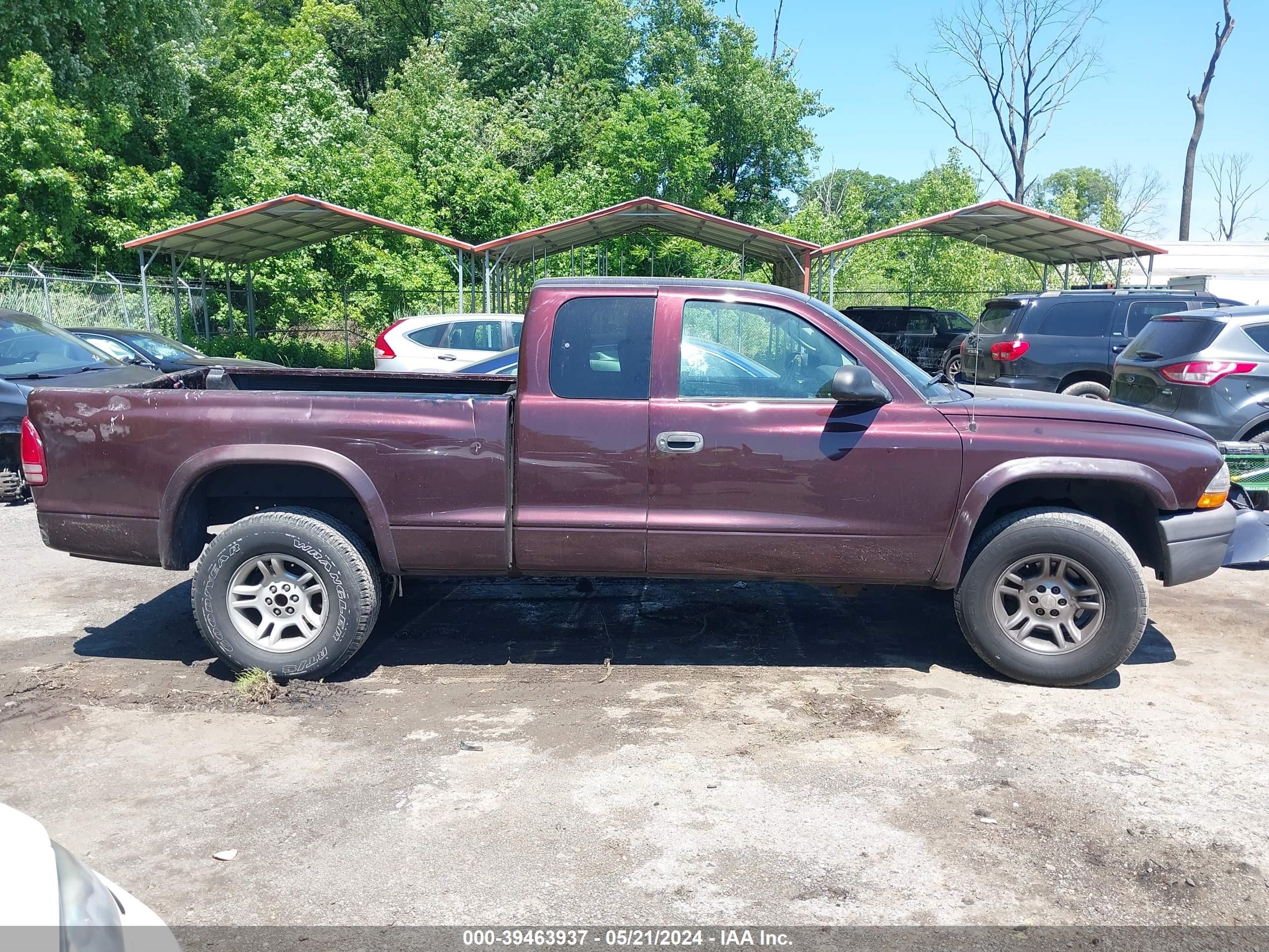 Photo 12 VIN: 1D7HG12K44S704284 - DODGE DAKOTA 