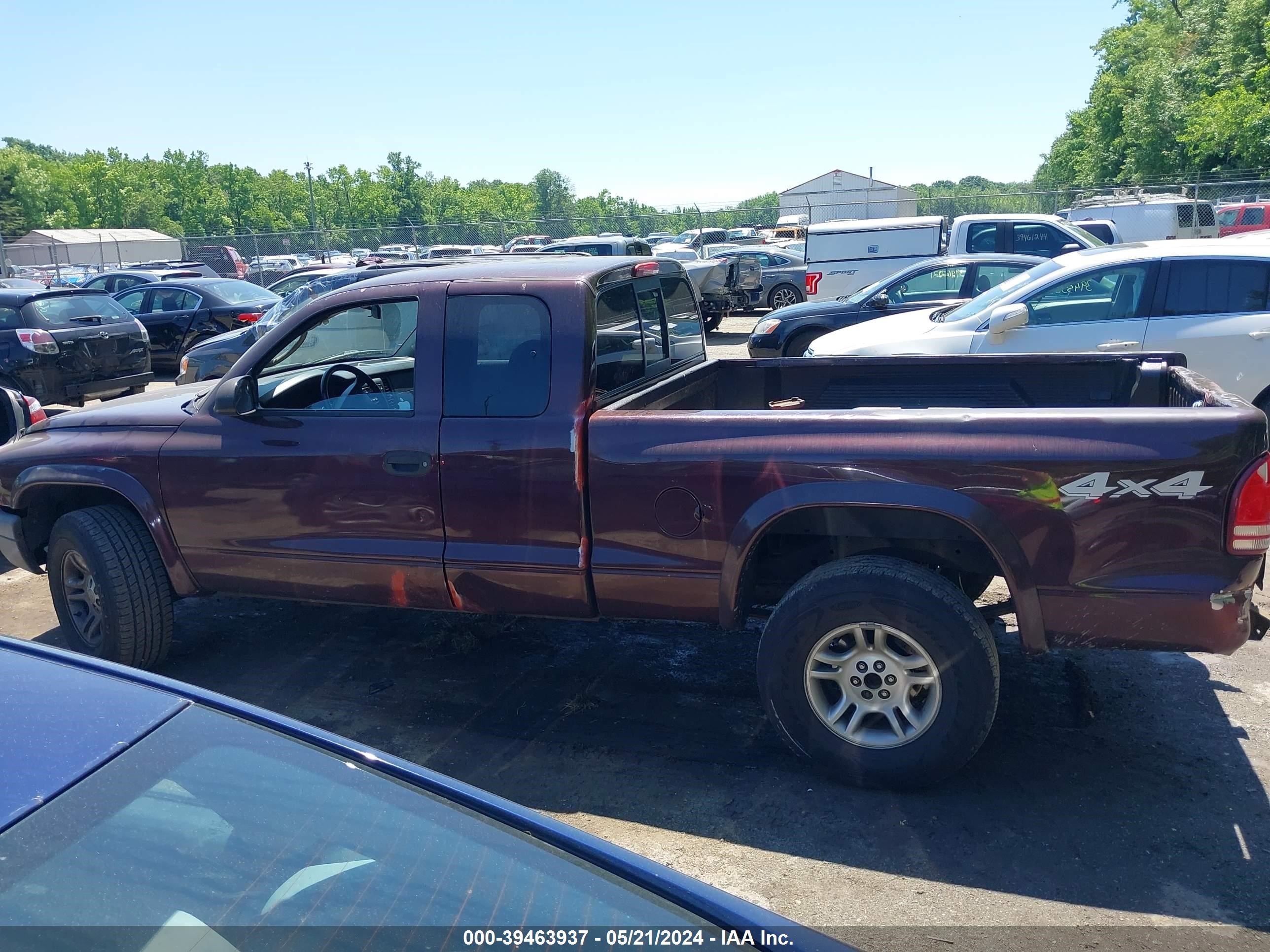 Photo 13 VIN: 1D7HG12K44S704284 - DODGE DAKOTA 