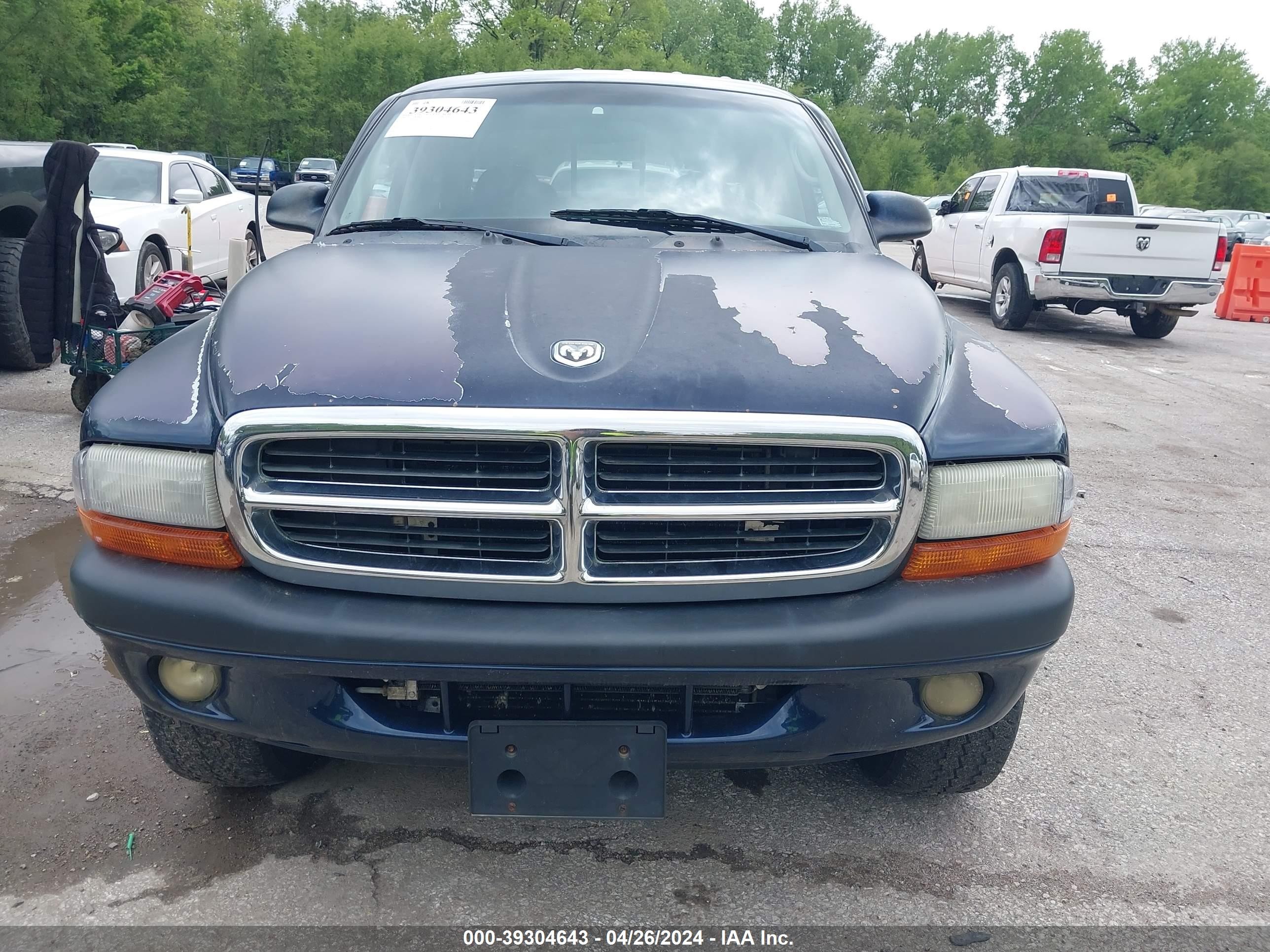 Photo 5 VIN: 1D7HG38K54S704555 - DODGE DAKOTA 