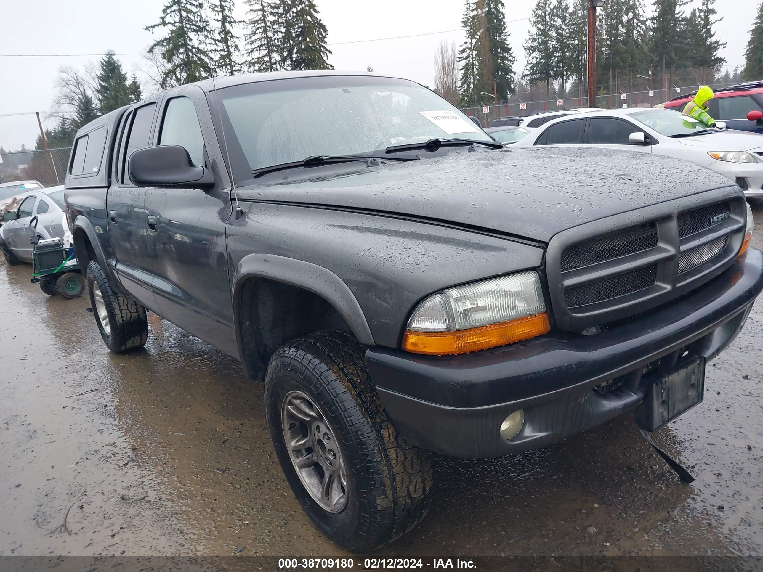 Photo 0 VIN: 1D7HG38N63S174881 - DODGE DAKOTA 