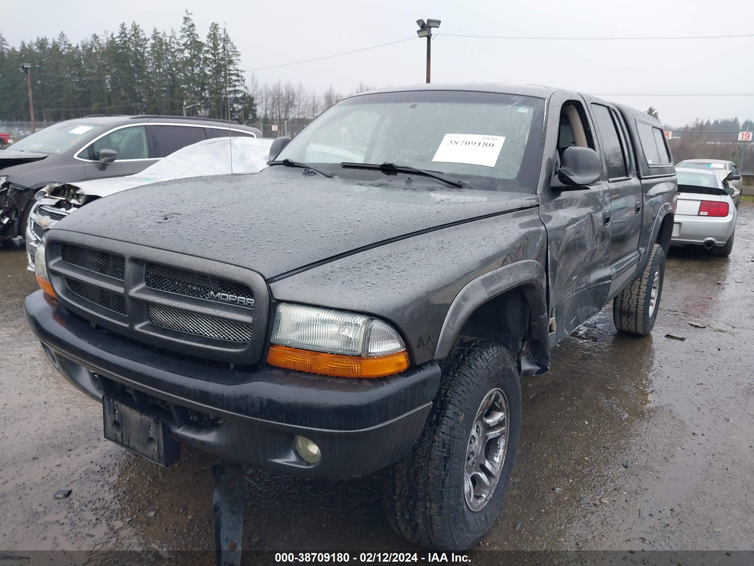 Photo 1 VIN: 1D7HG38N63S174881 - DODGE DAKOTA 