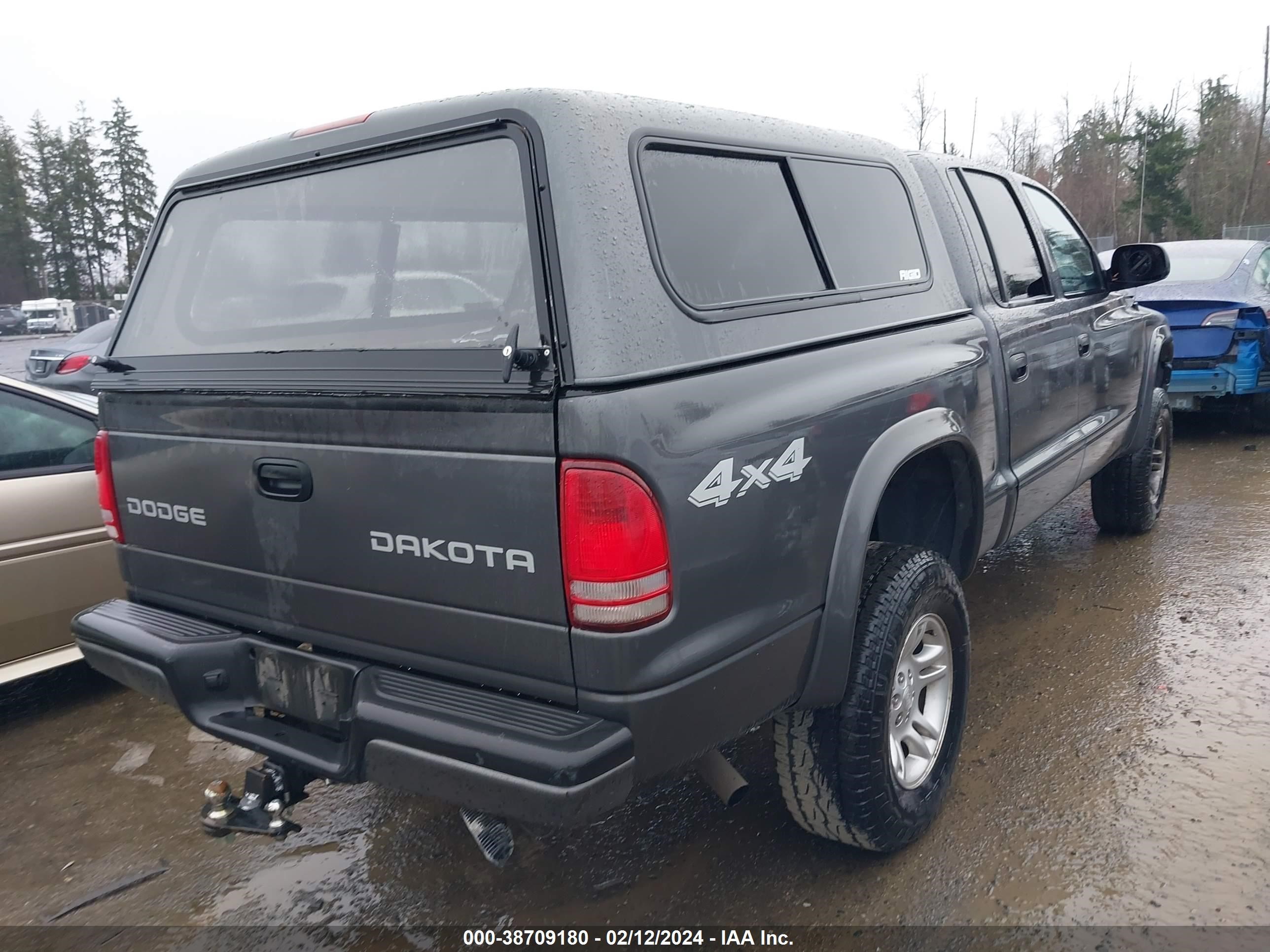 Photo 3 VIN: 1D7HG38N63S174881 - DODGE DAKOTA 