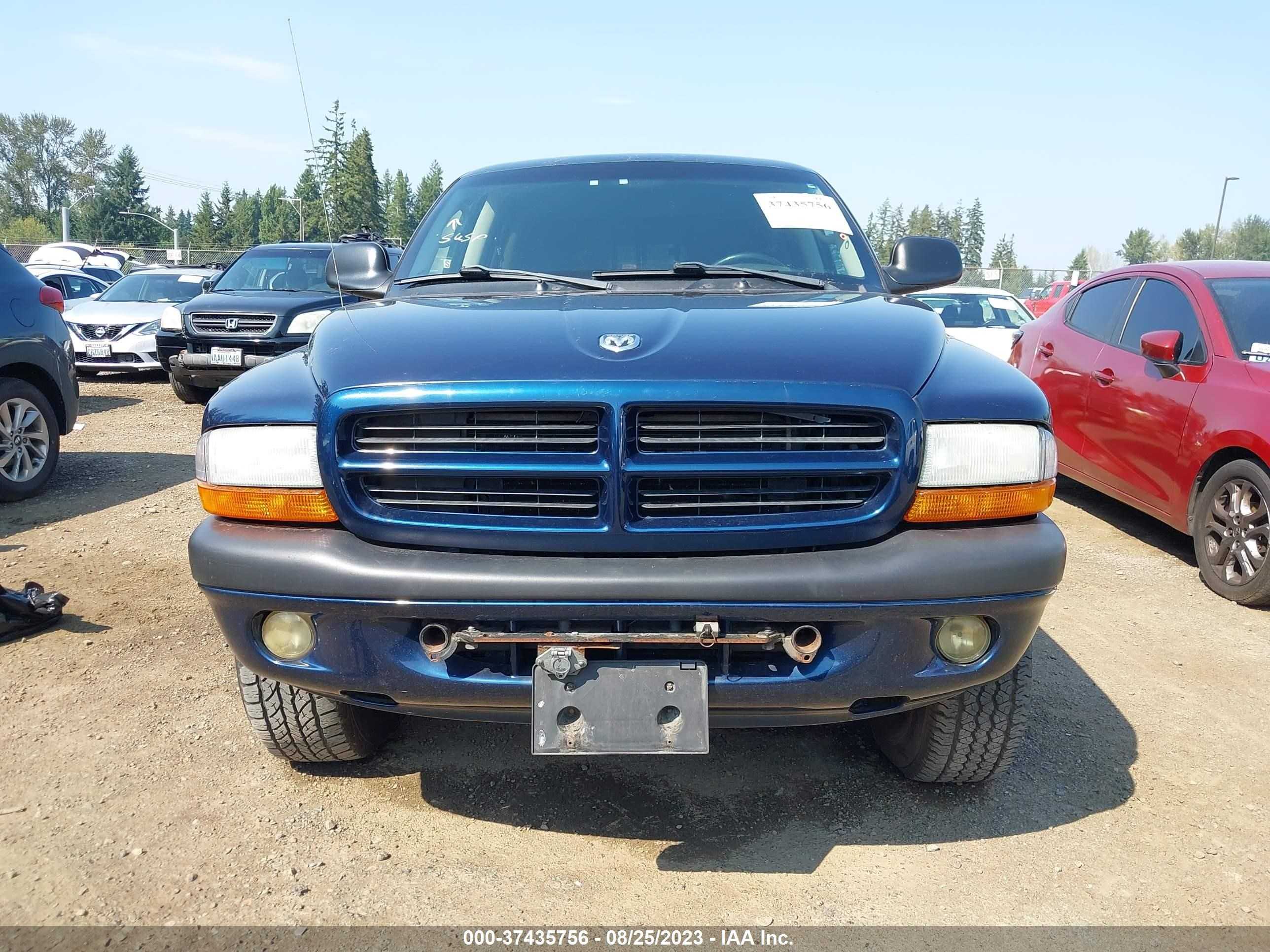 Photo 11 VIN: 1D7HG38NX3S284381 - DODGE DAKOTA 