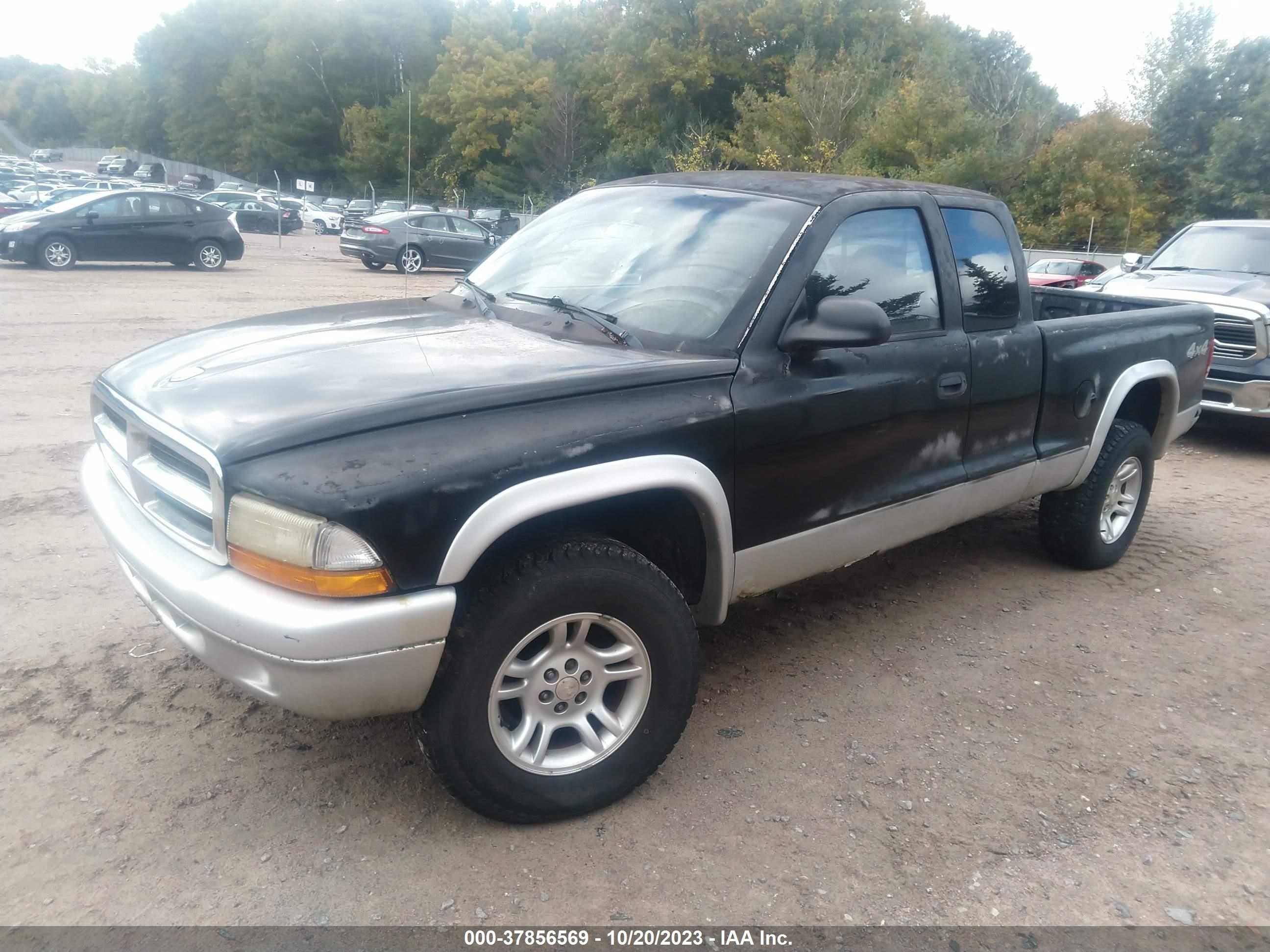 Photo 1 VIN: 1D7HG42N23S130259 - DODGE DAKOTA 