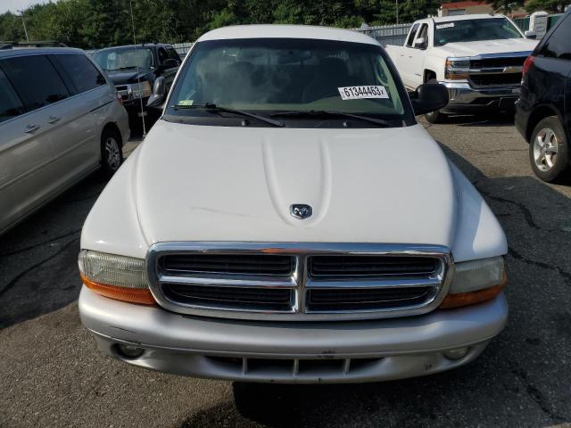 Photo 4 VIN: 1D7HG42N84S564221 - DODGE DAKOTA 