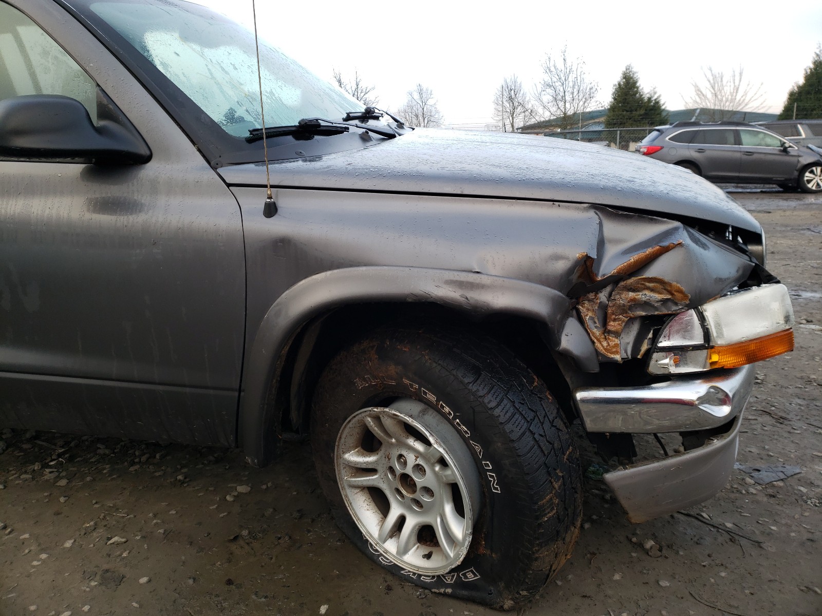 Photo 8 VIN: 1D7HG48N03S184750 - DODGE DAKOTA QUA 