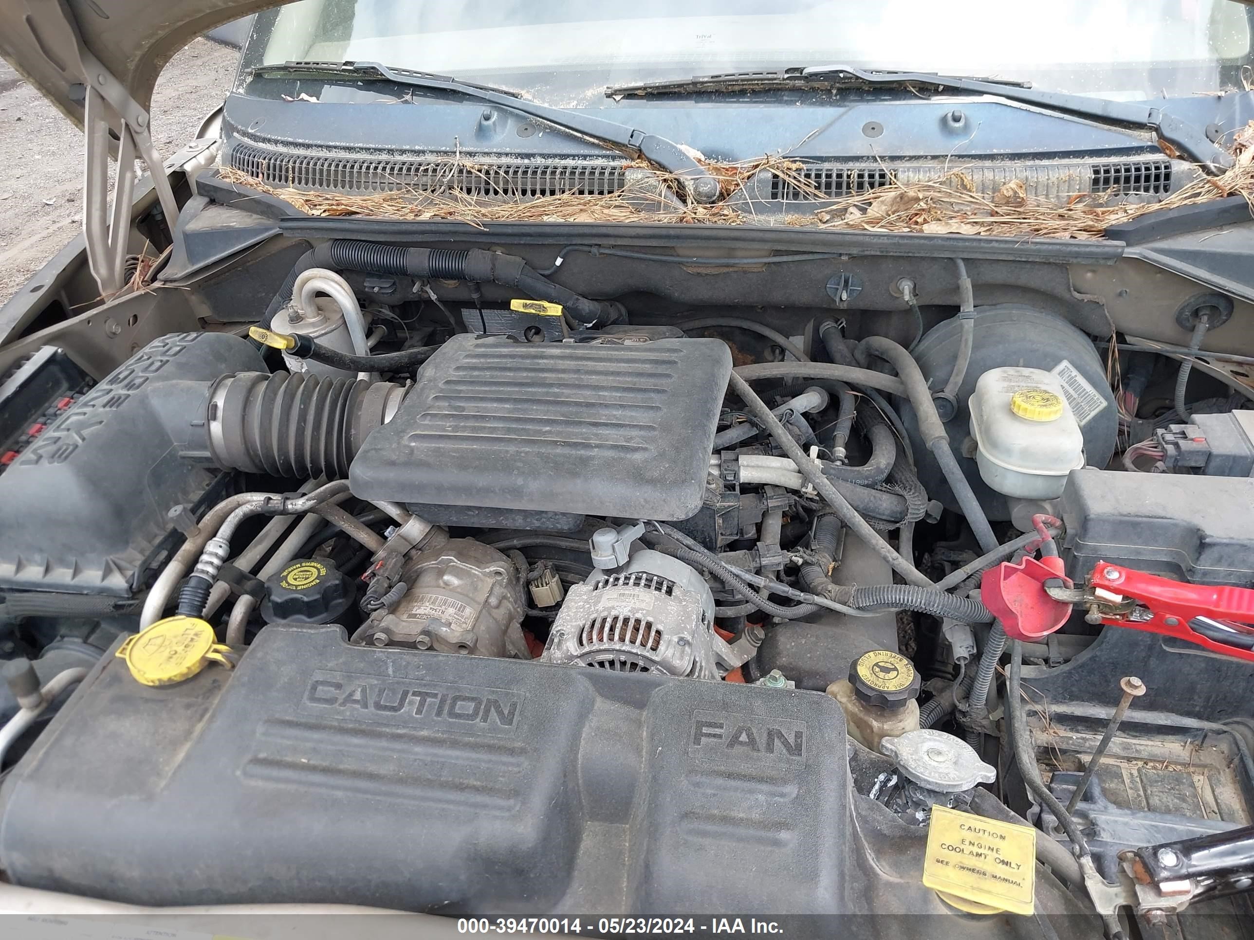 Photo 5 VIN: 1D7HG48N23S363694 - DODGE DAKOTA 