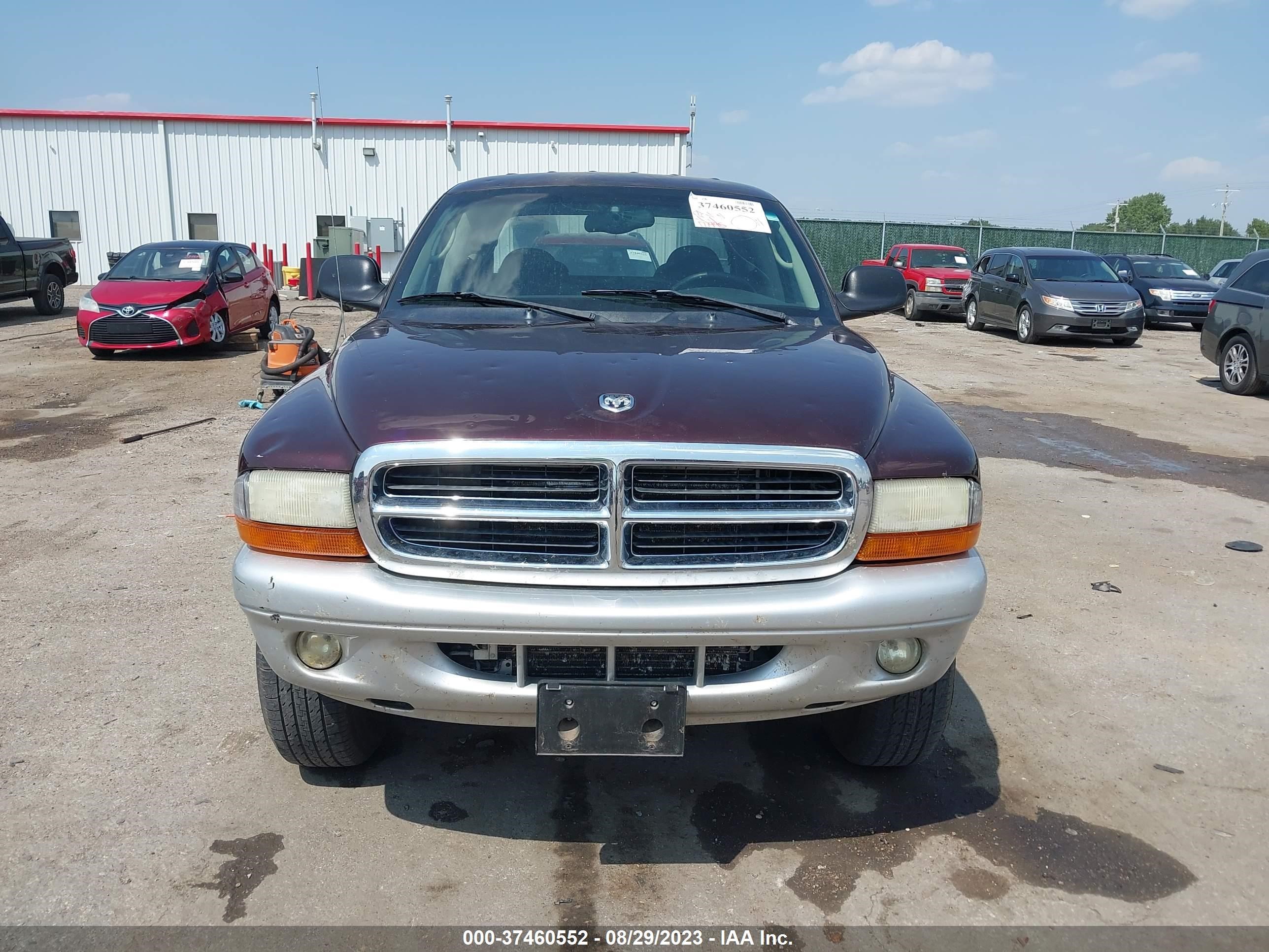 Photo 12 VIN: 1D7HG48N24S588893 - DODGE DAKOTA 