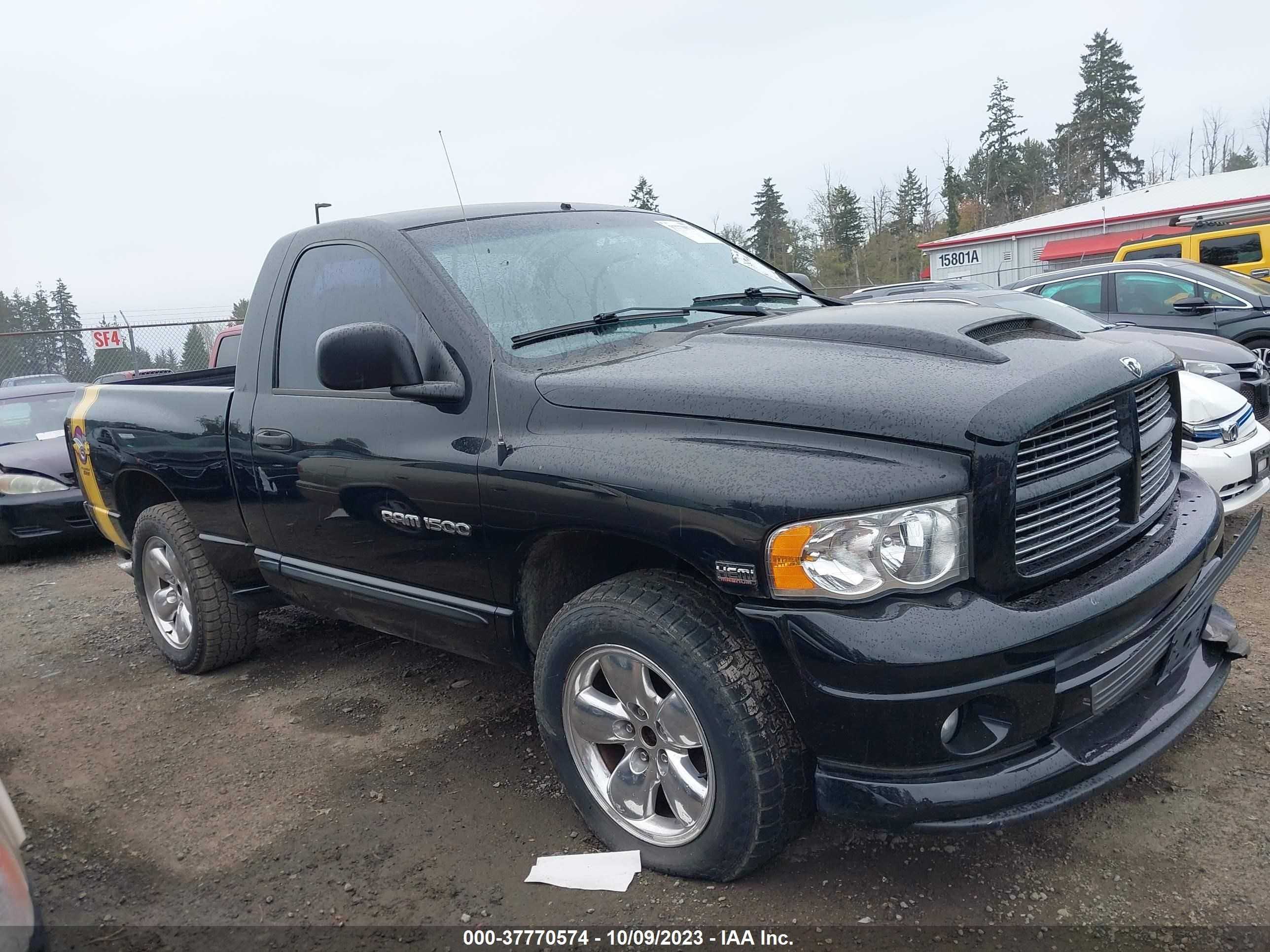 Photo 12 VIN: 1D7HU16D74J278147 - DODGE RAM 