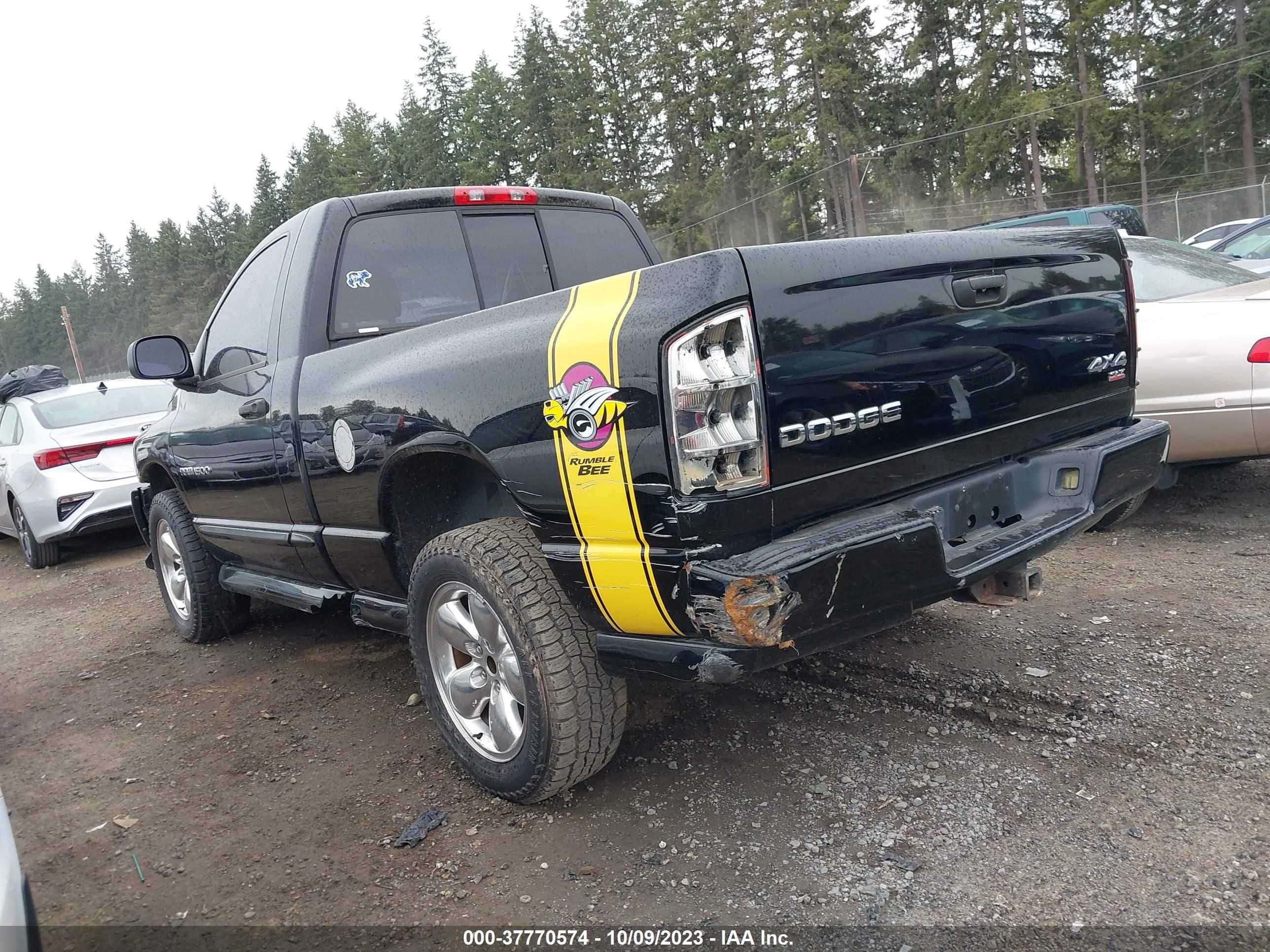 Photo 13 VIN: 1D7HU16D74J278147 - DODGE RAM 