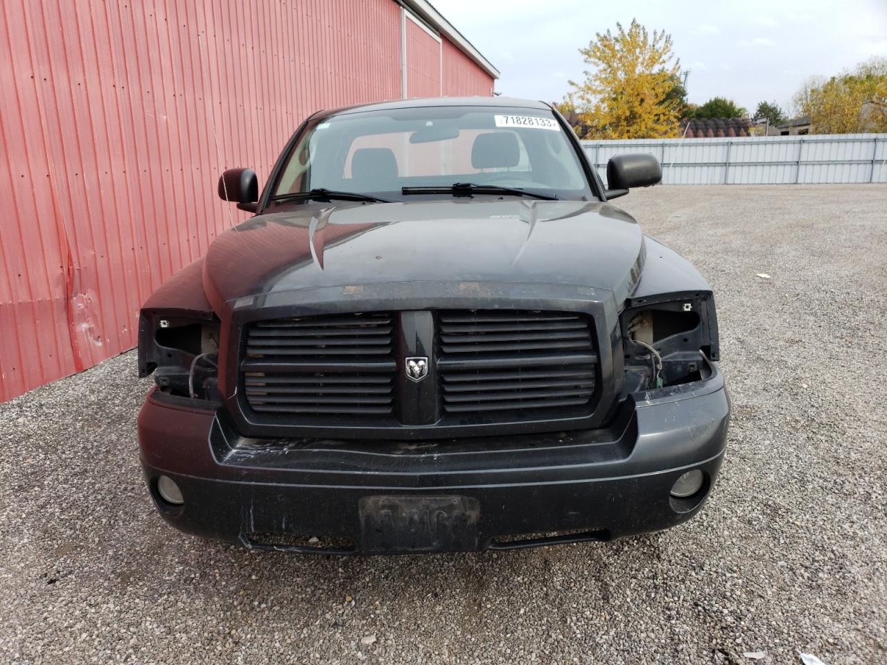 Photo 4 VIN: 1D7HW22K77S245877 - DODGE DAKOTA 