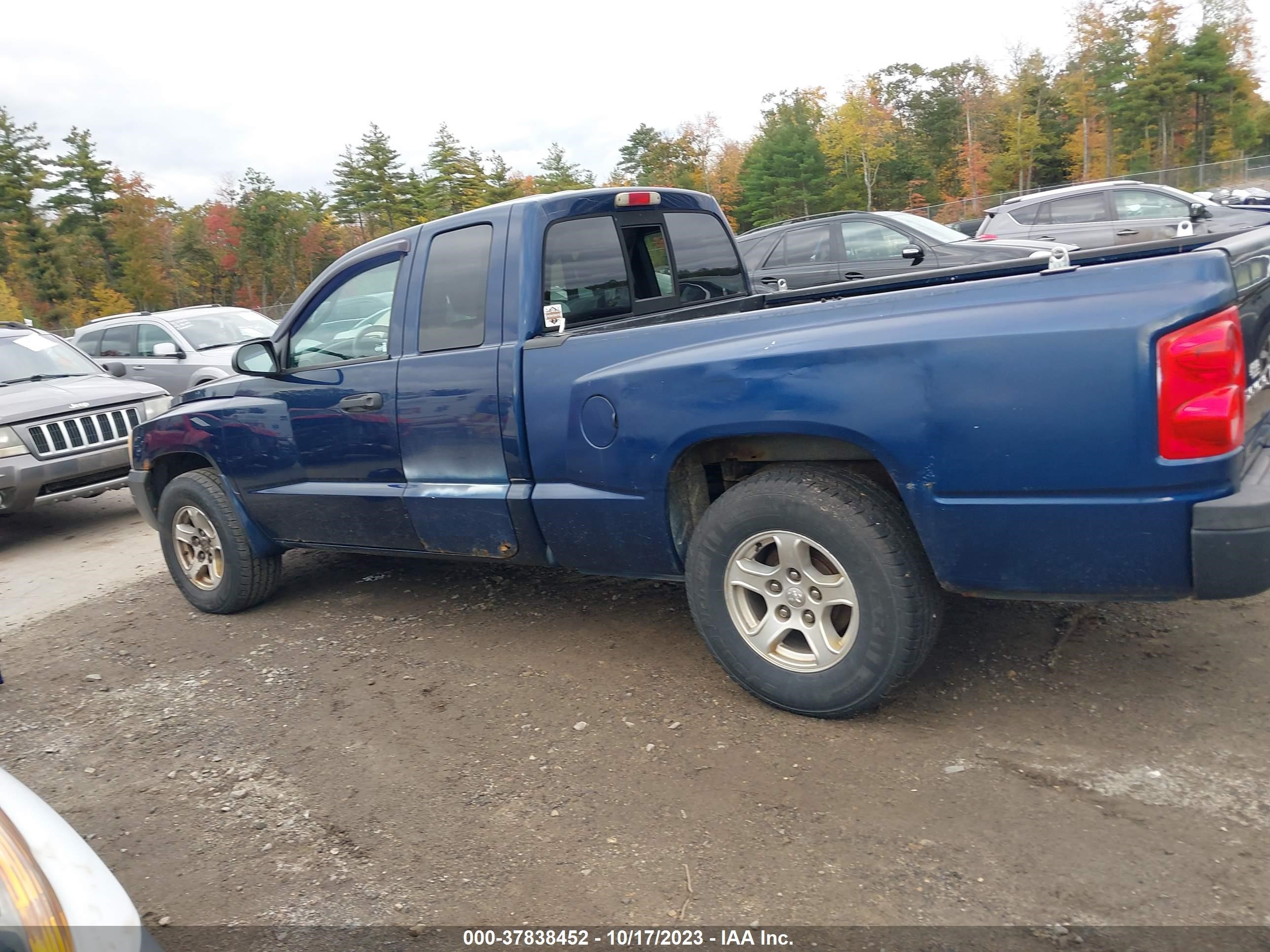 Photo 11 VIN: 1D7HW22K95S220301 - DODGE DAKOTA 