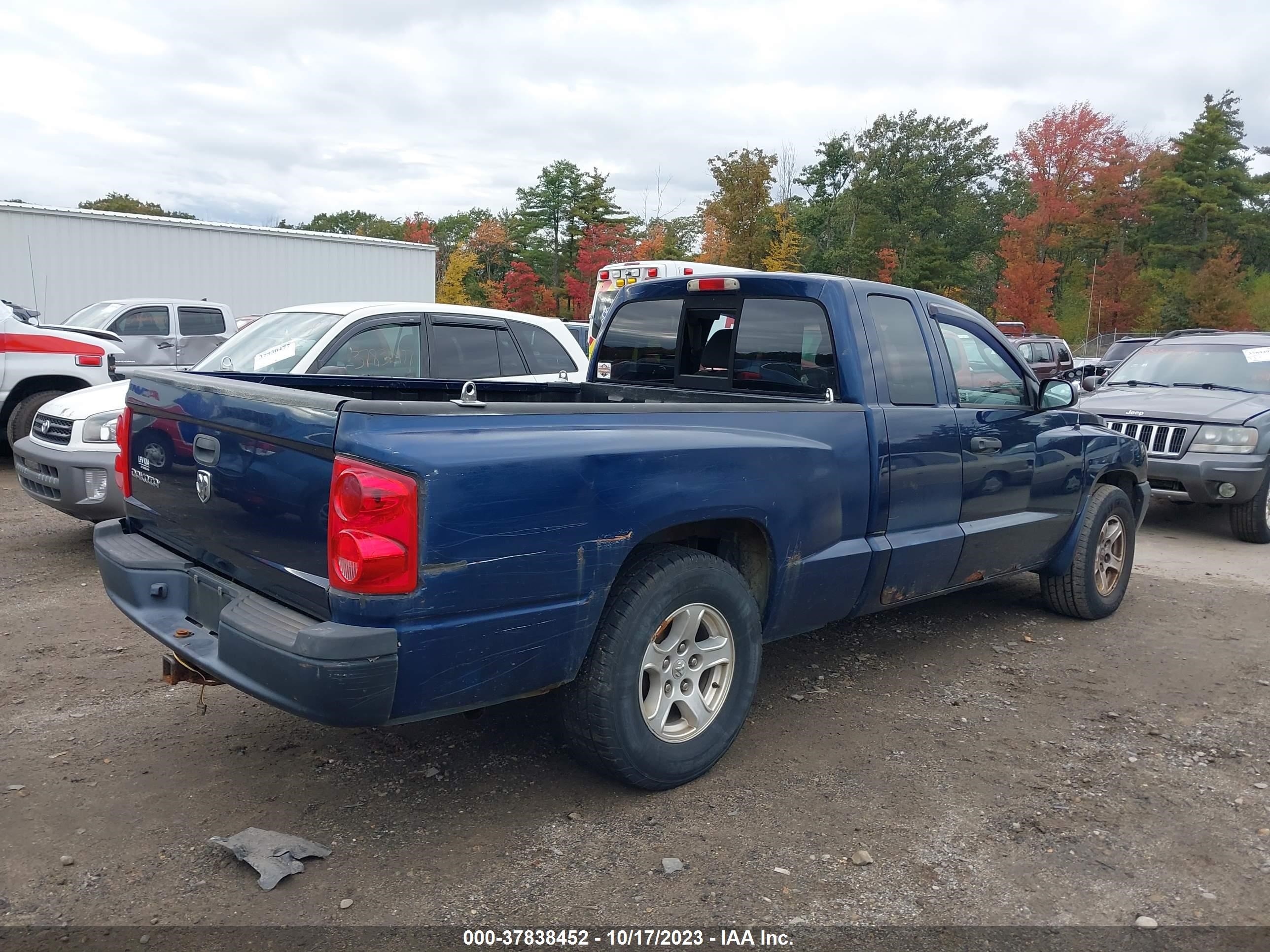 Photo 5 VIN: 1D7HW22K95S220301 - DODGE DAKOTA 