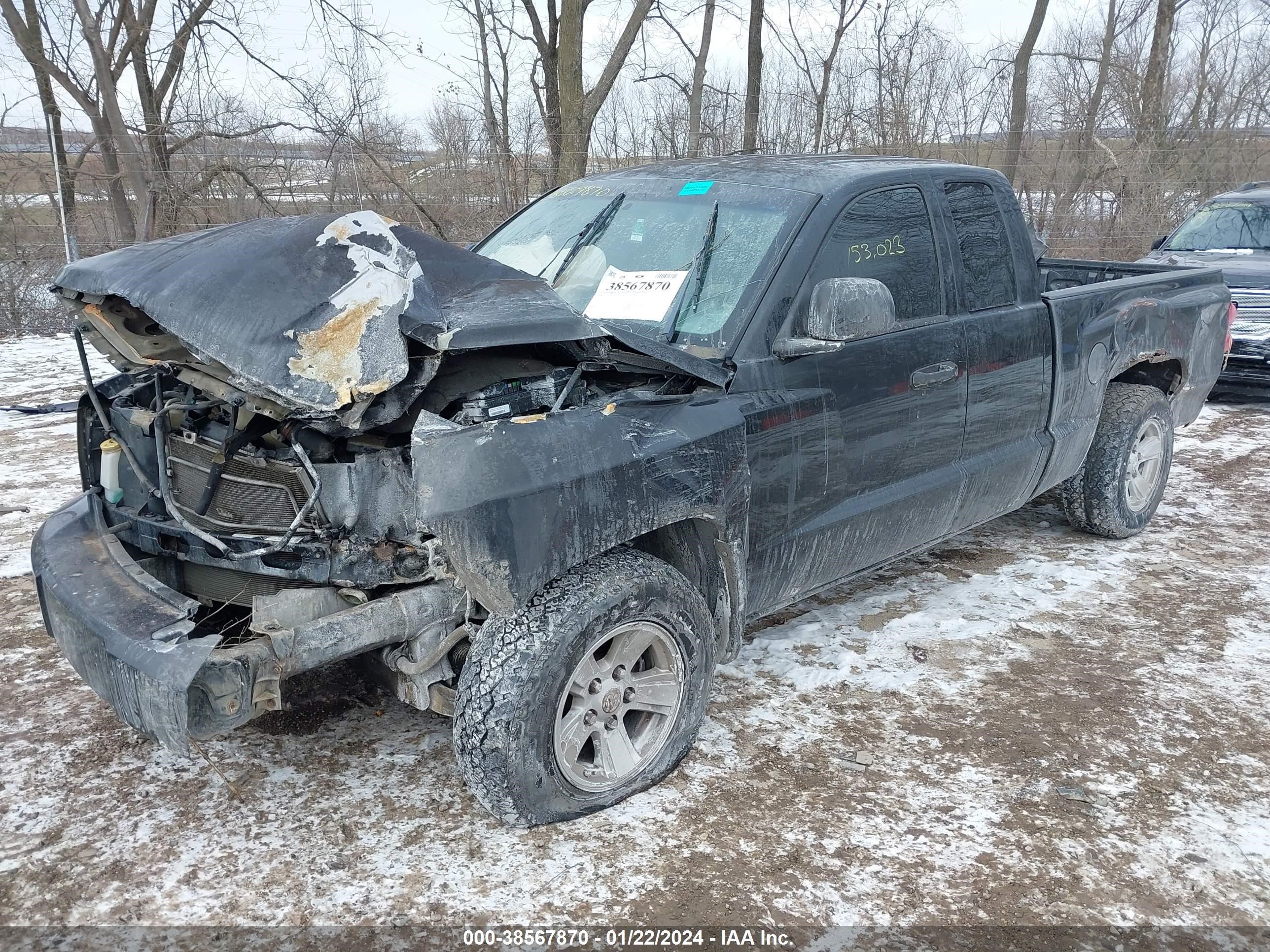 Photo 11 VIN: 1D7HW42N38S562594 - DODGE DAKOTA 