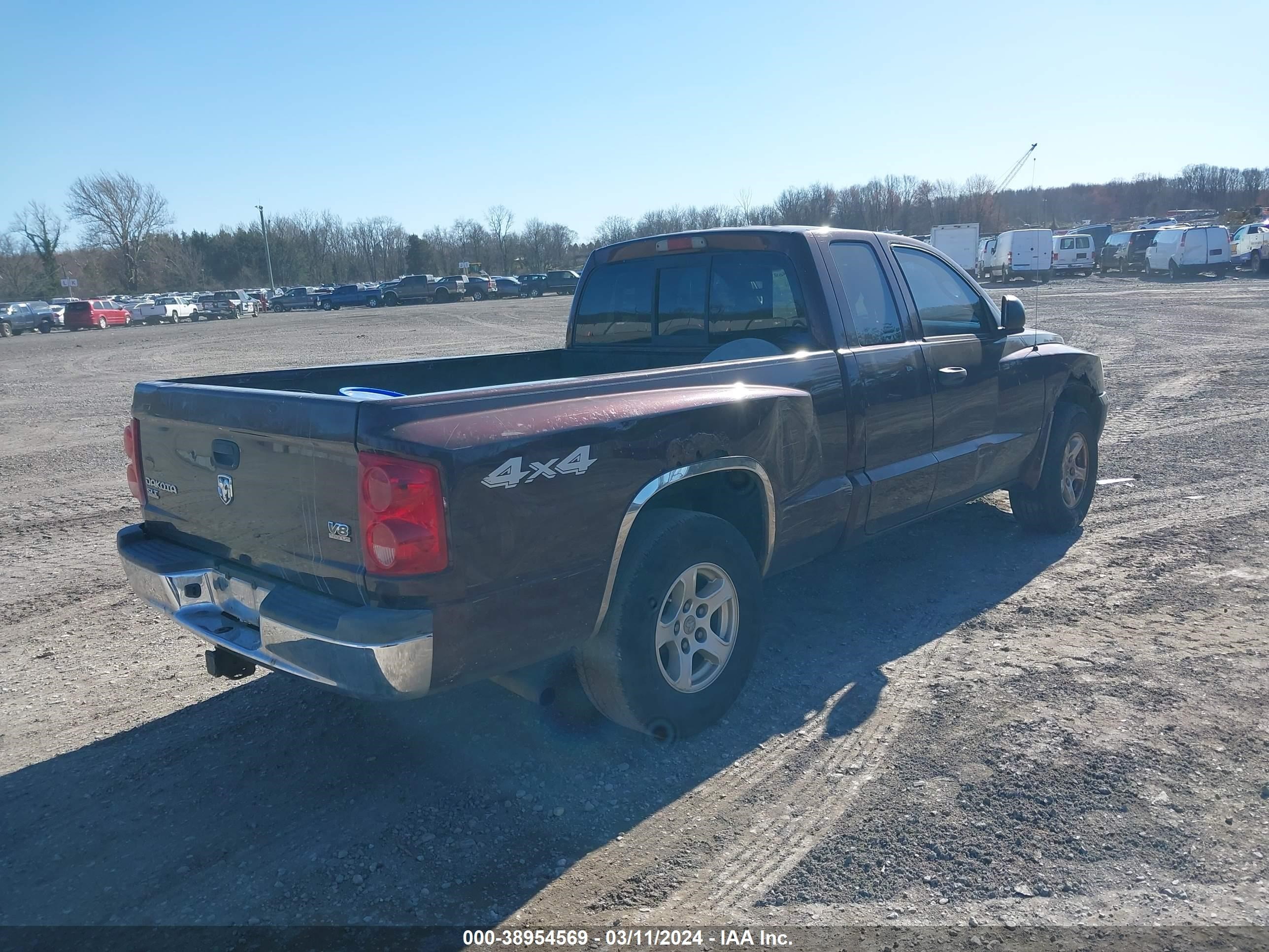 Photo 3 VIN: 1D7HW42N95S226170 - DODGE DAKOTA 