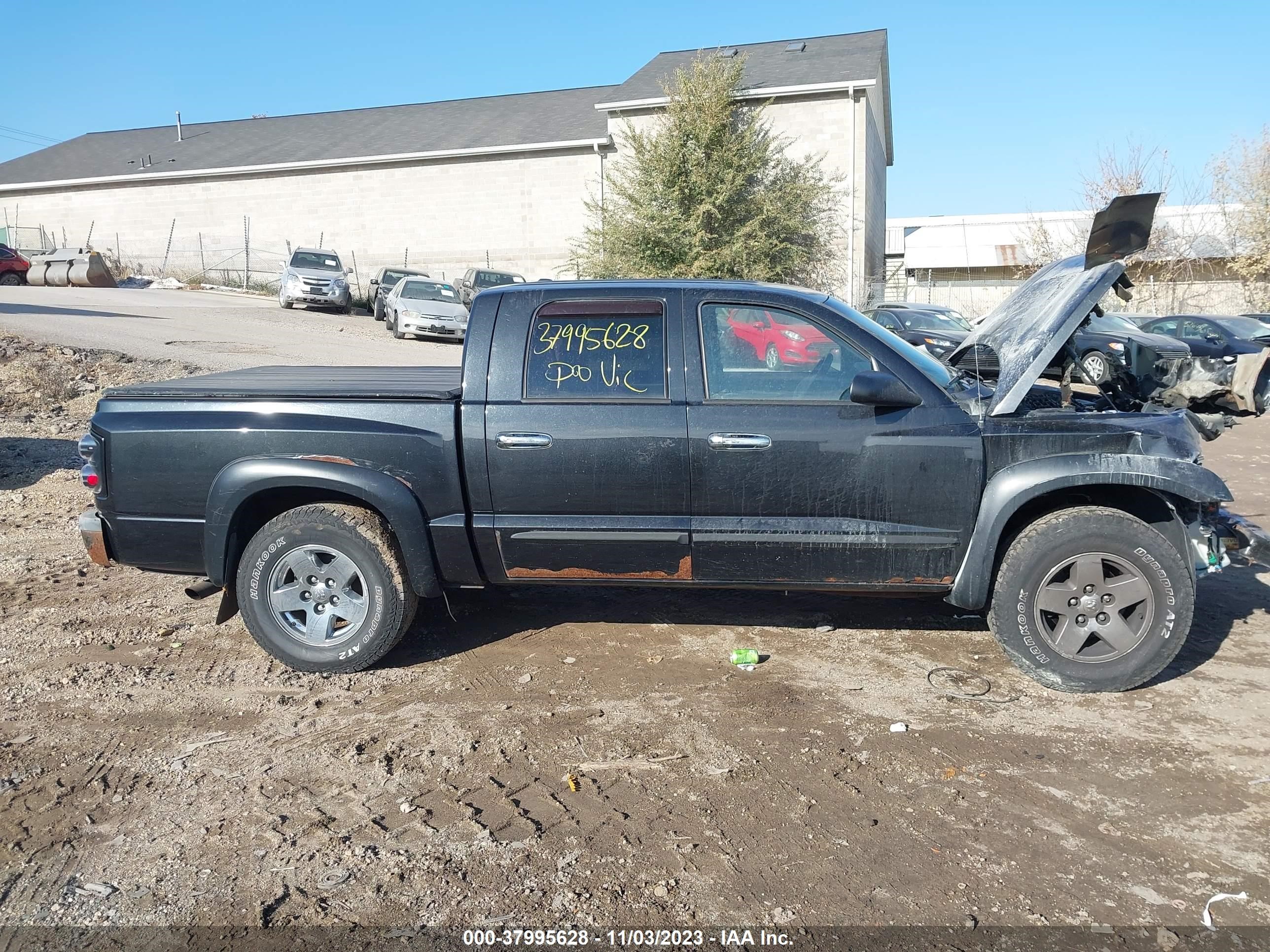 Photo 12 VIN: 1D7HW48J86S710854 - DODGE DAKOTA 