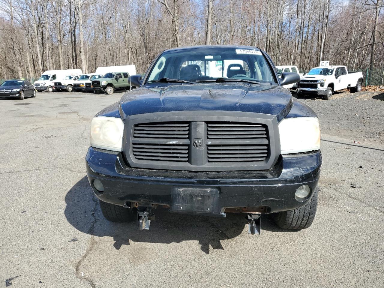 Photo 4 VIN: 1D7HW48N15S234688 - DODGE DAKOTA 