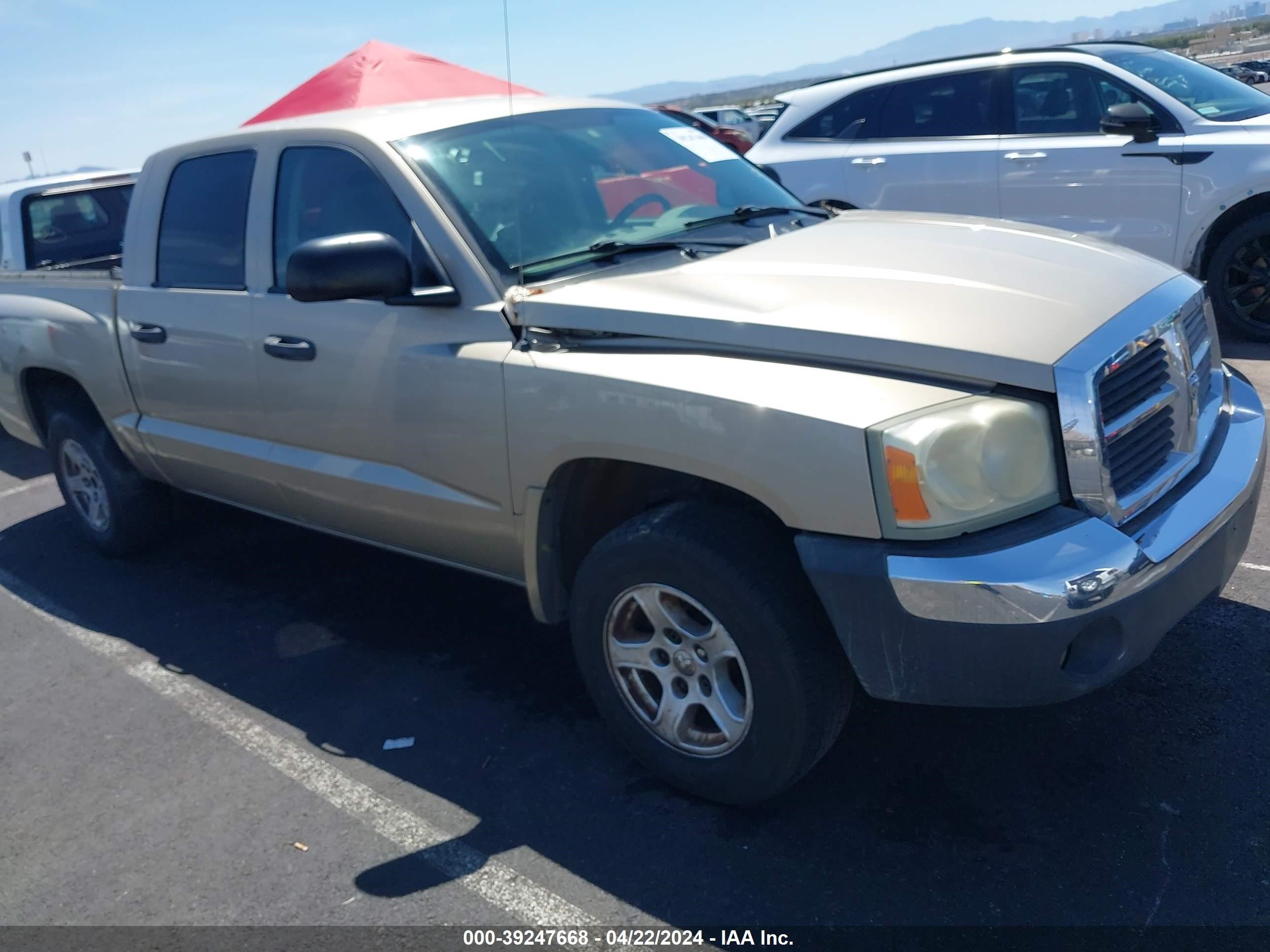 Photo 11 VIN: 1D7HW48N15S257095 - DODGE DAKOTA 