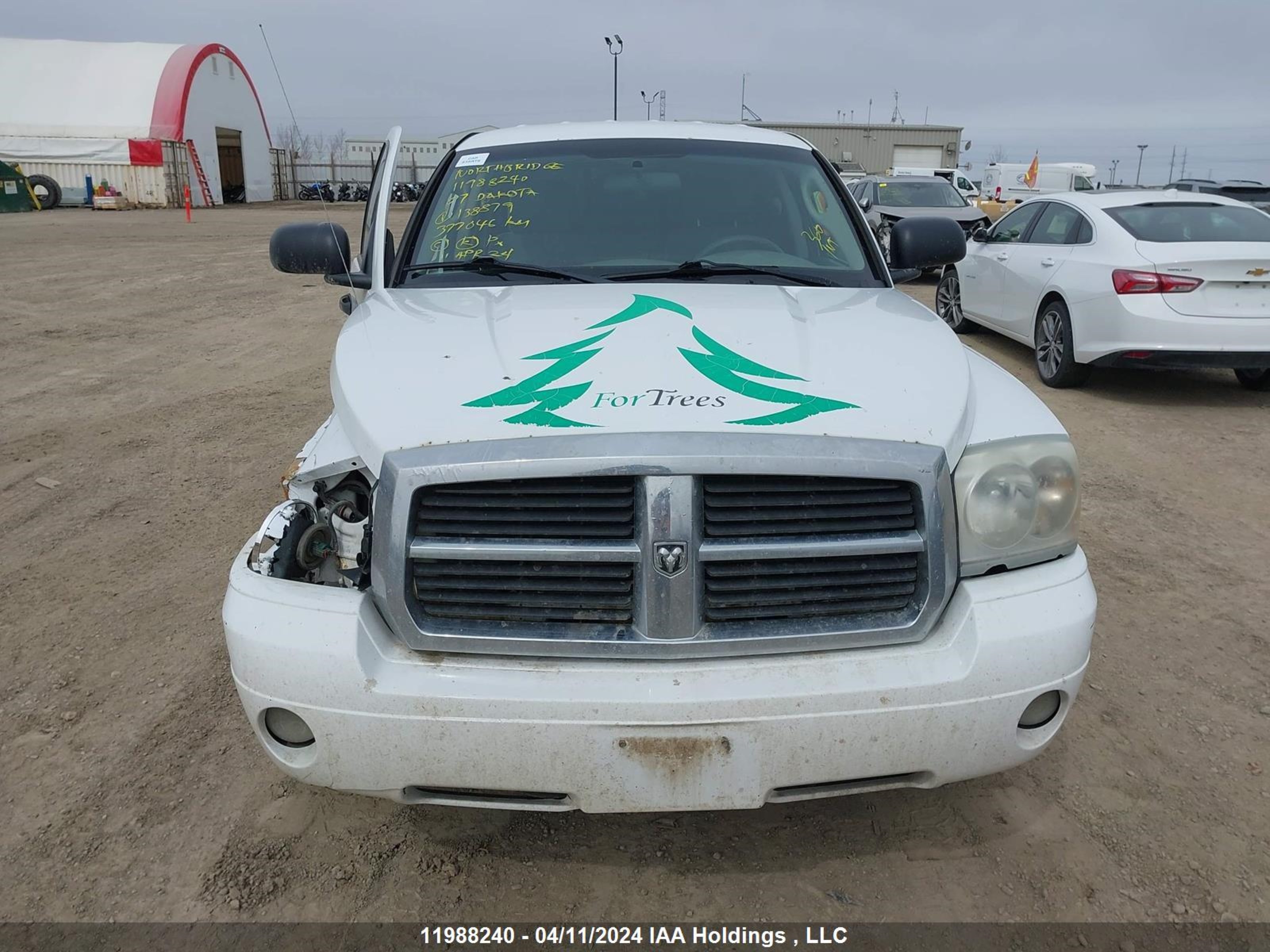 Photo 11 VIN: 1D7HW48N67S138879 - DODGE DAKOTA 