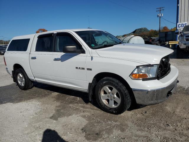 Photo 3 VIN: 1D7RB1CT1AS159263 - DODGE RAM 1500 