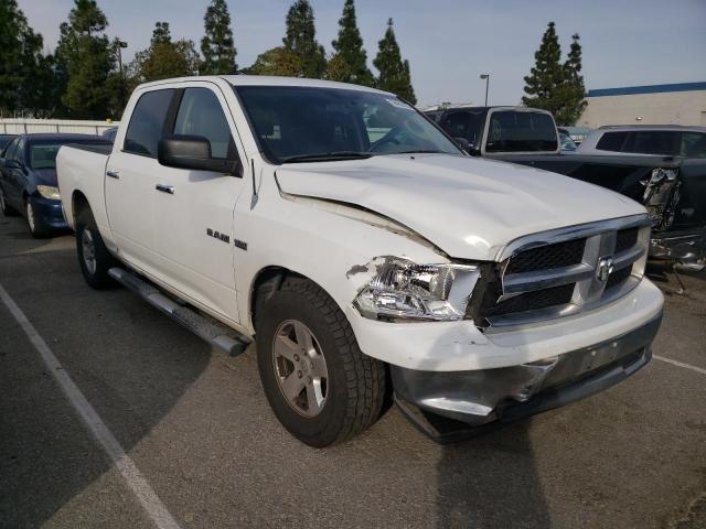 Photo 3 VIN: 1D7RB1CT6AS245555 - DODGE RAM 1500 