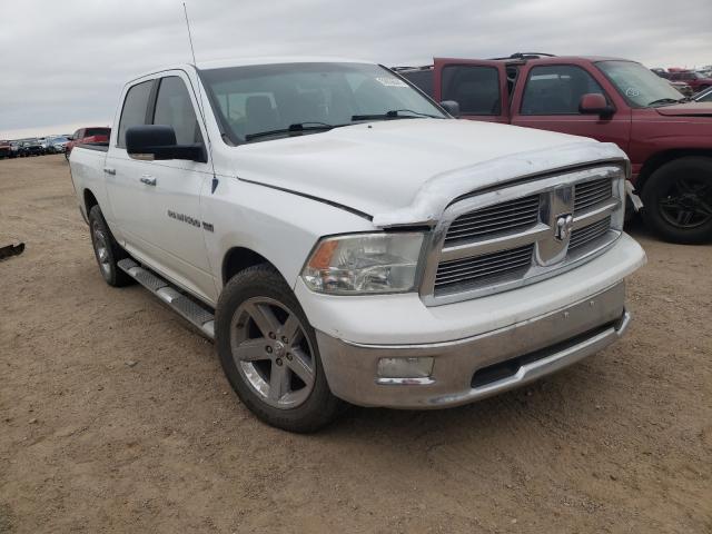 Photo 0 VIN: 1D7RB1CT8BS596694 - DODGE RAM 1500 