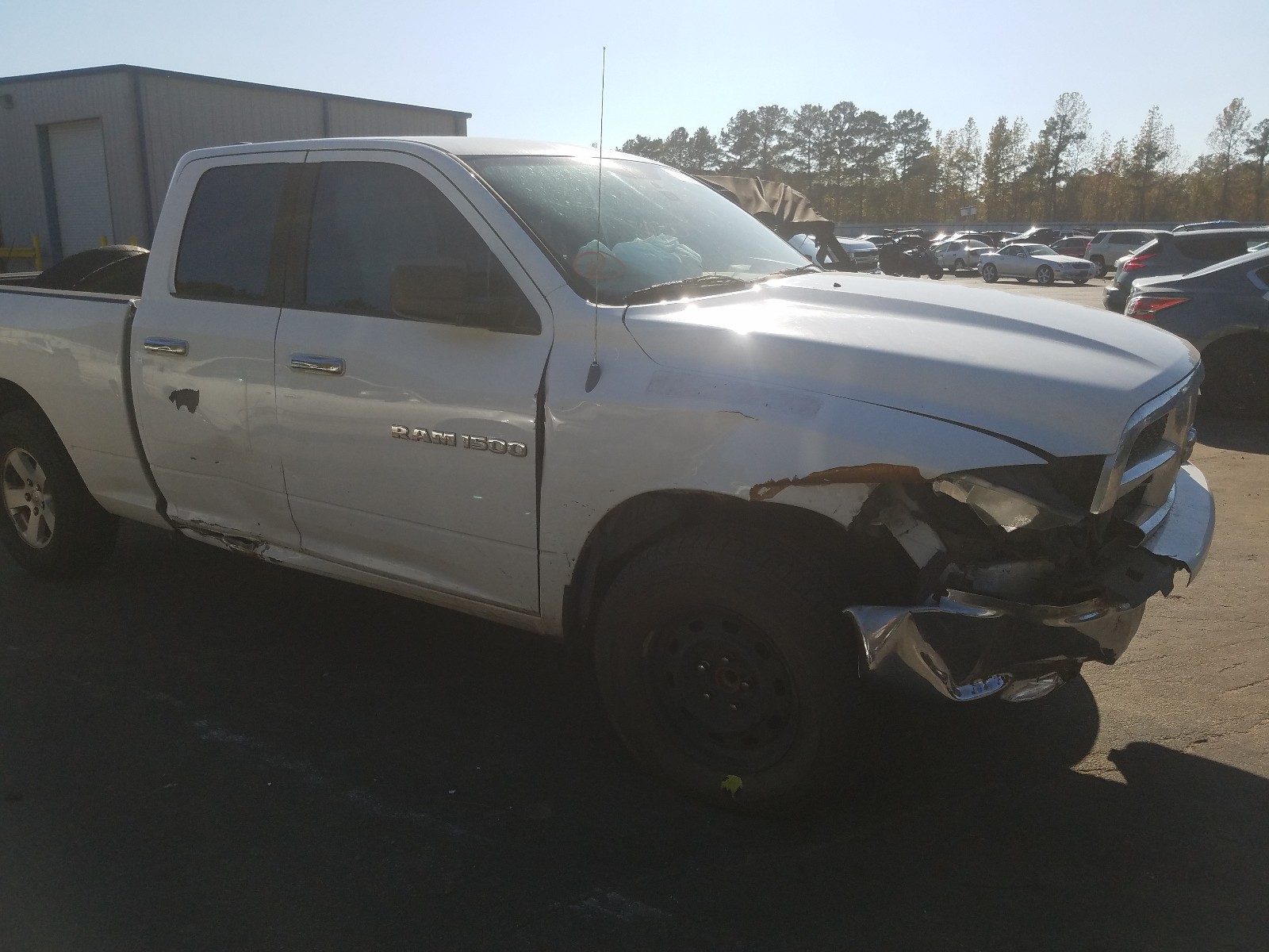 Photo 8 VIN: 1D7RB1GP7BS679594 - DODGE RAM 1500 