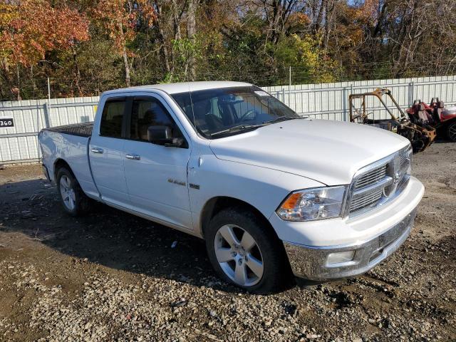 Photo 3 VIN: 1D7RB1GT7AS249107 - DODGE RAM 1500 